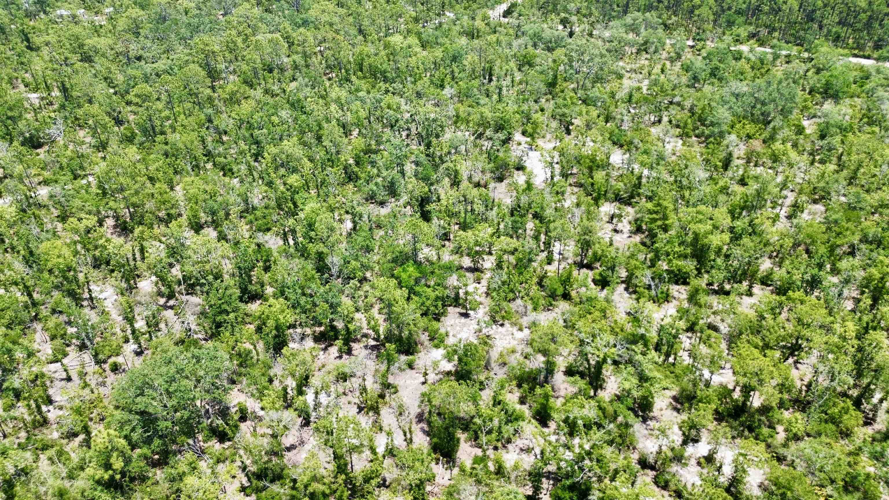 00 Clearwater Creek Lane, Perry, Florida image 24