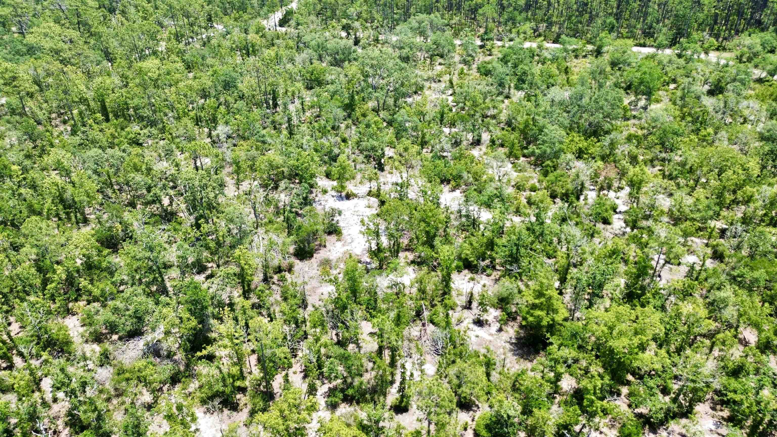 00 Clearwater Creek Lane, Perry, Florida image 25