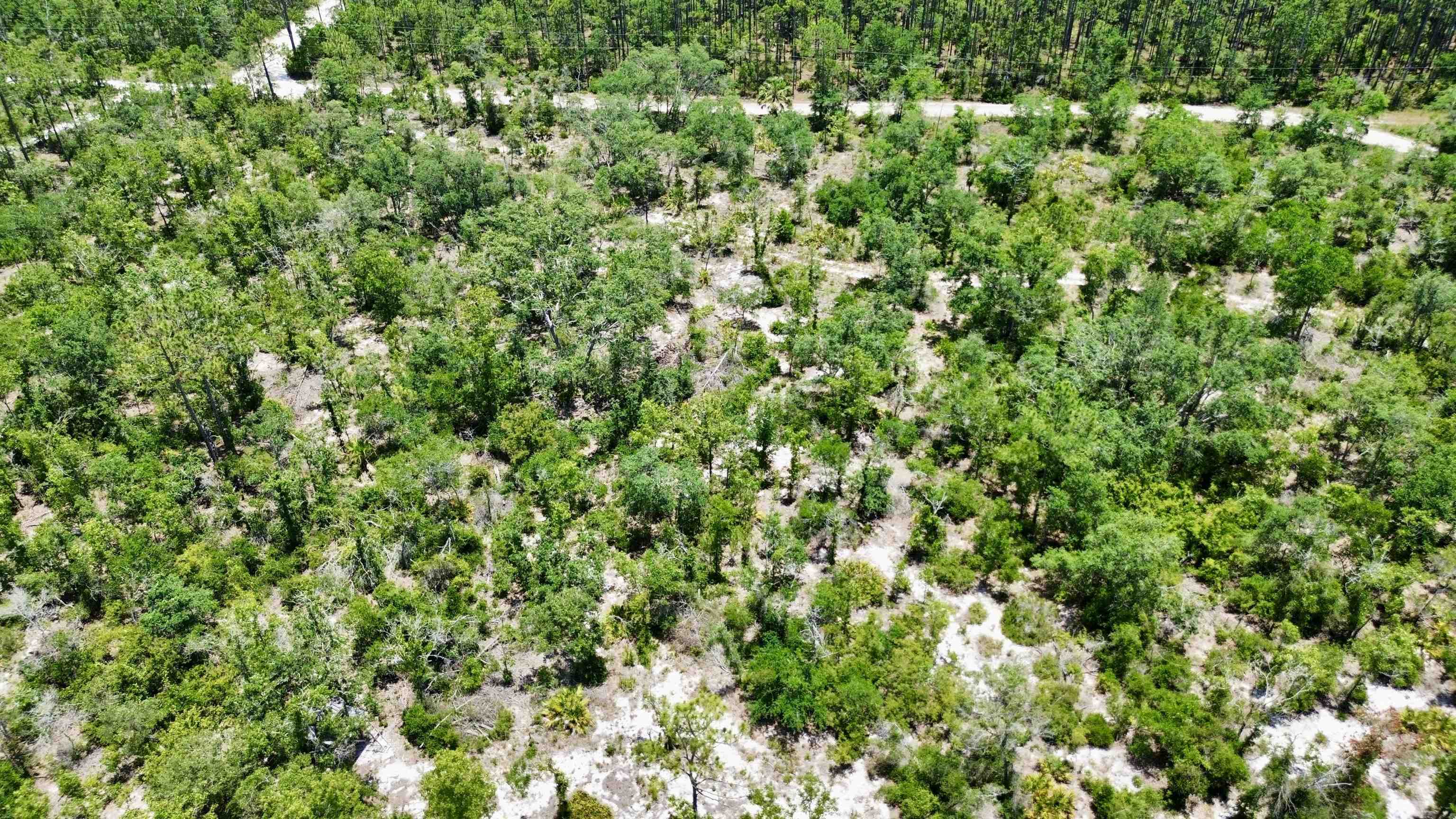 00 Clearwater Creek Lane, Perry, Florida image 26