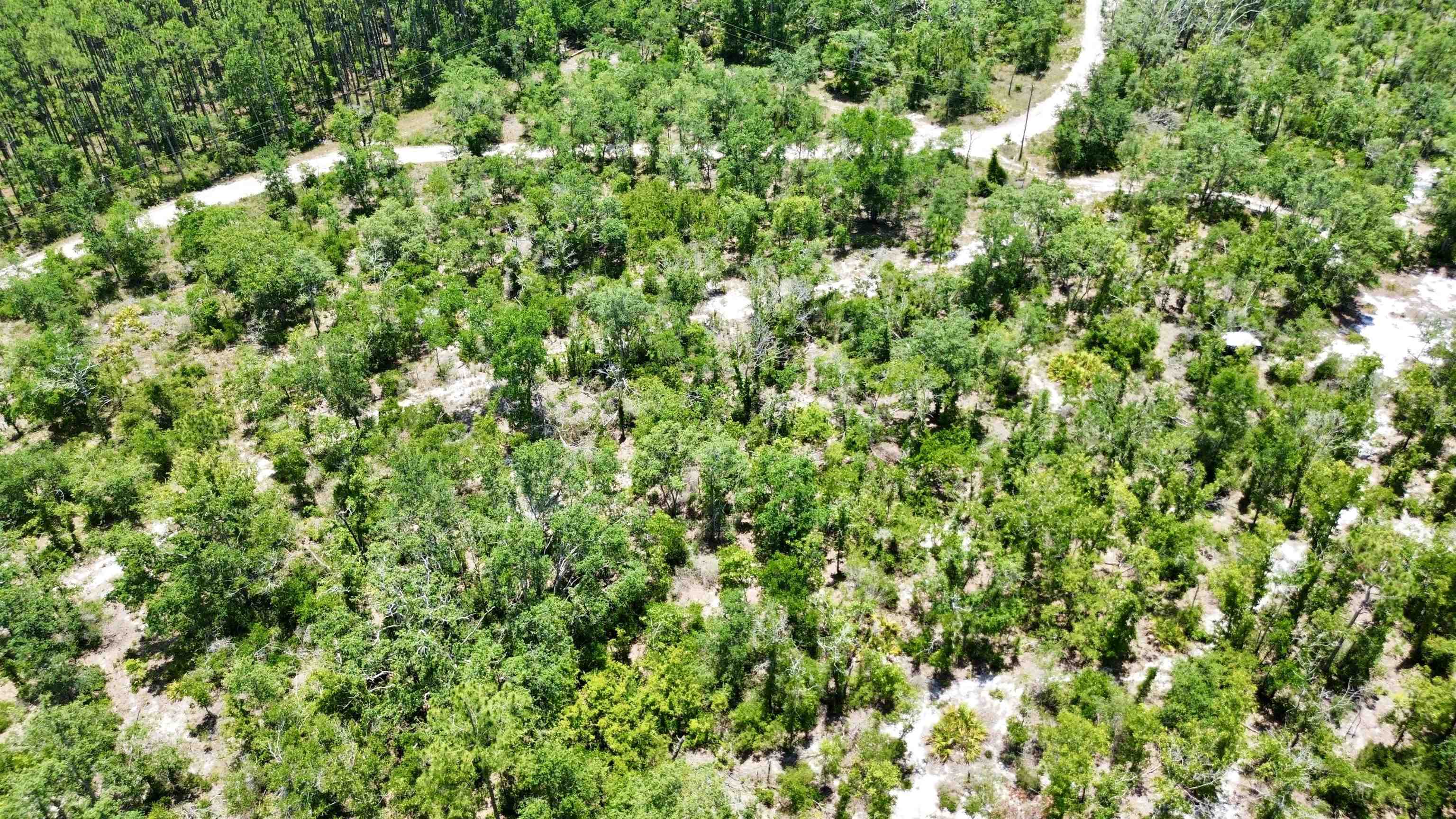 00 Clearwater Creek Lane, Perry, Florida image 27
