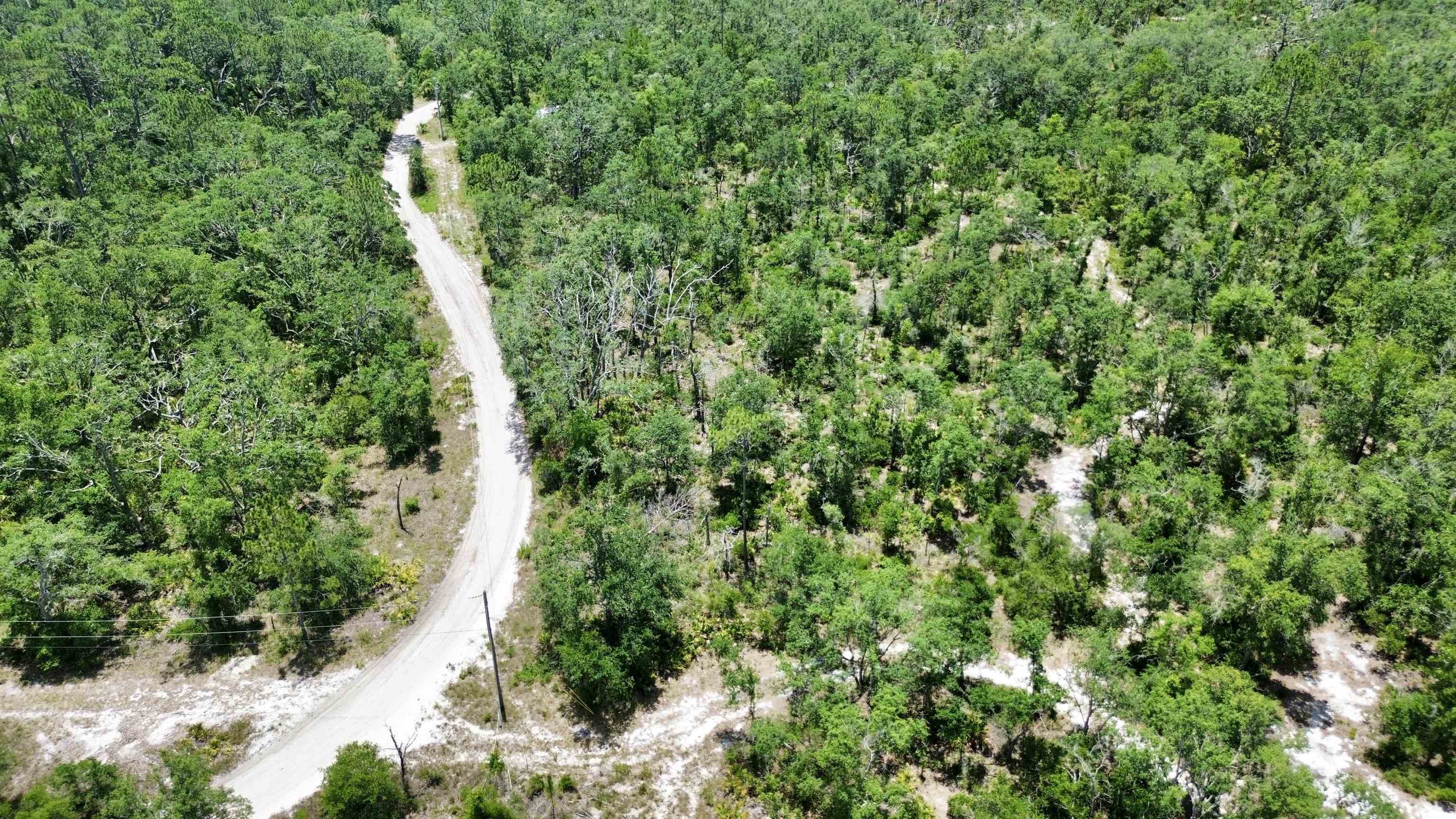 00 Clearwater Creek Lane, Perry, Florida image 29