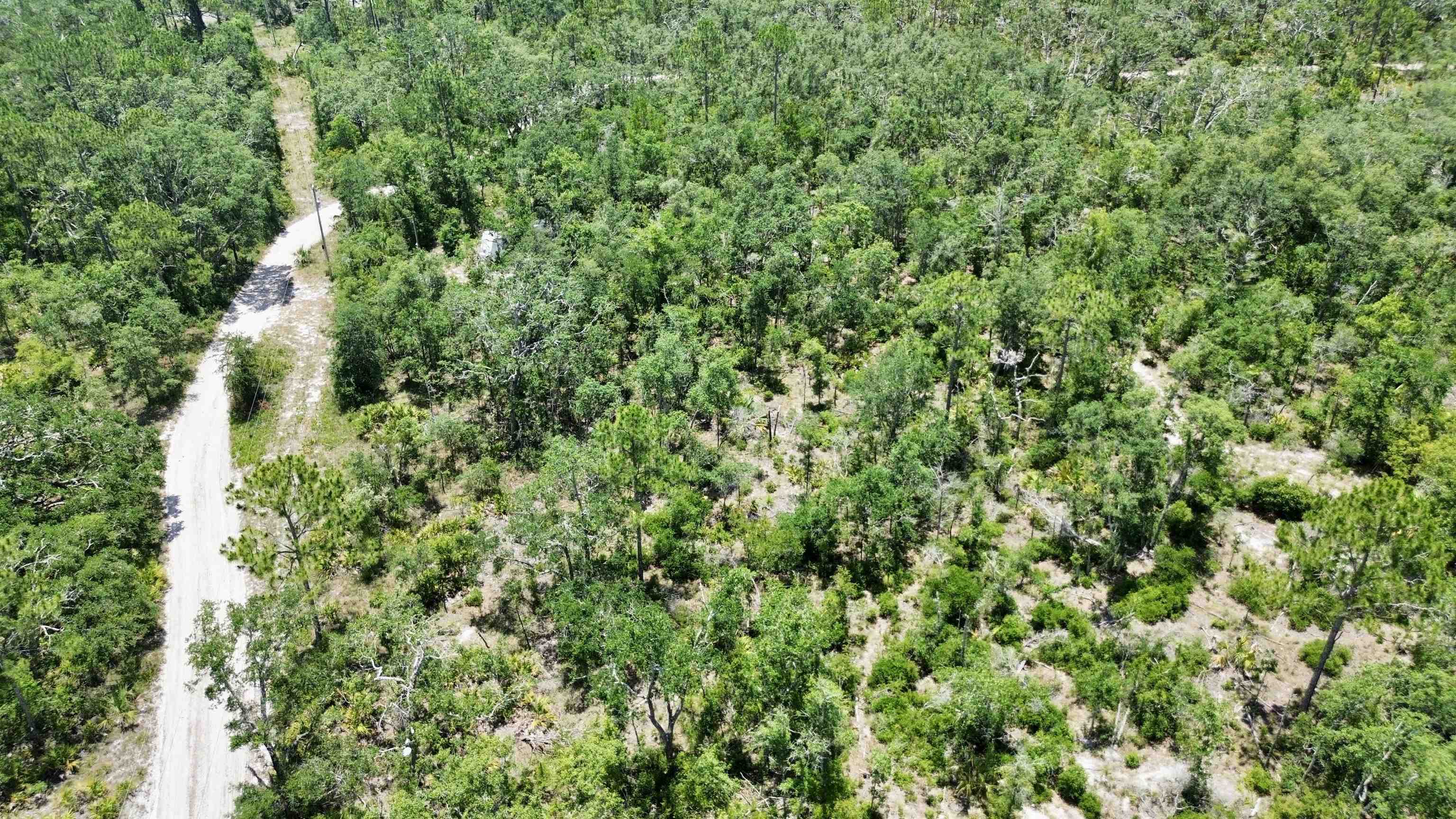 00 Clearwater Creek Lane, Perry, Florida image 30
