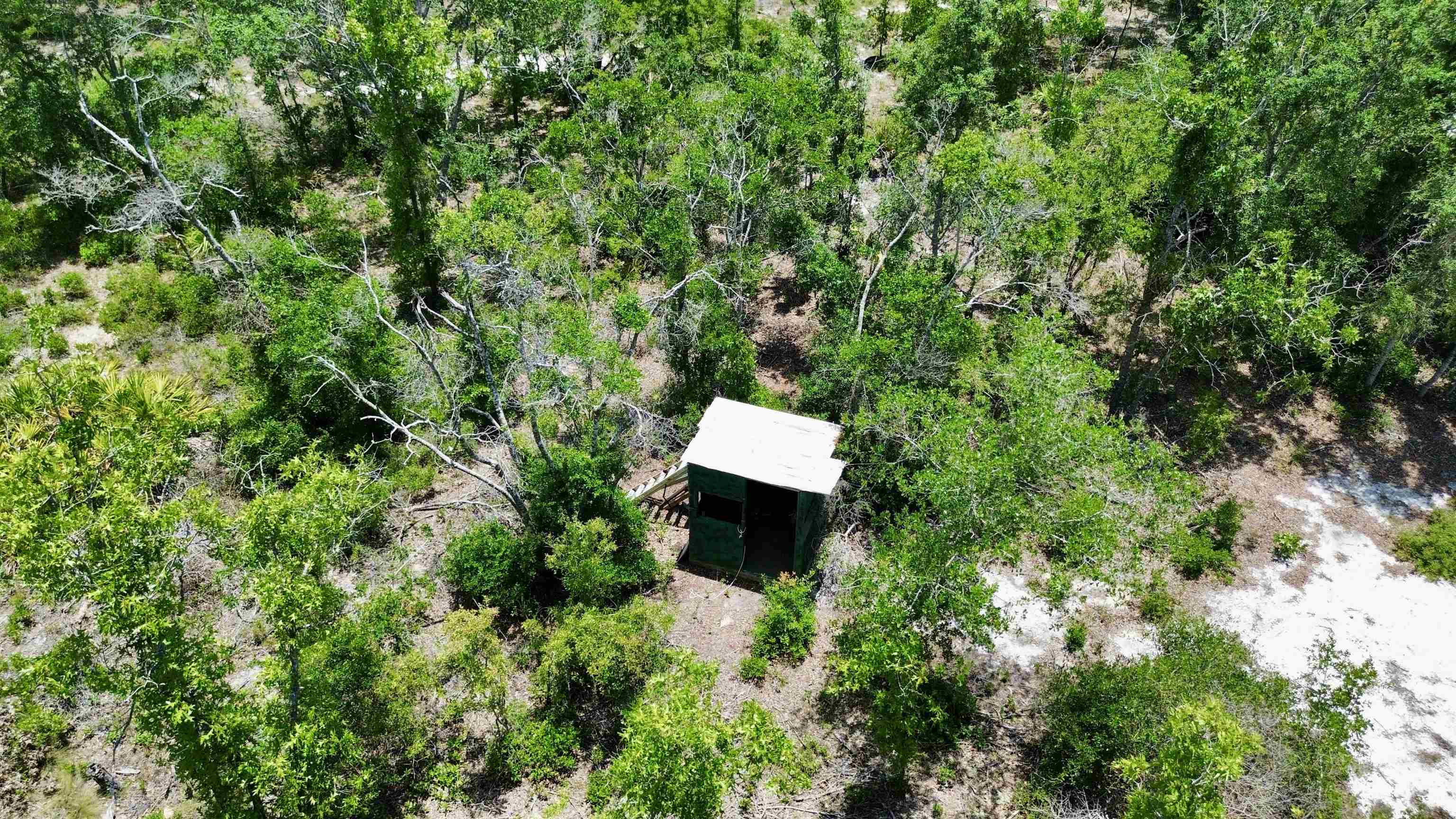 00 Clearwater Creek Lane, Perry, Florida image 7