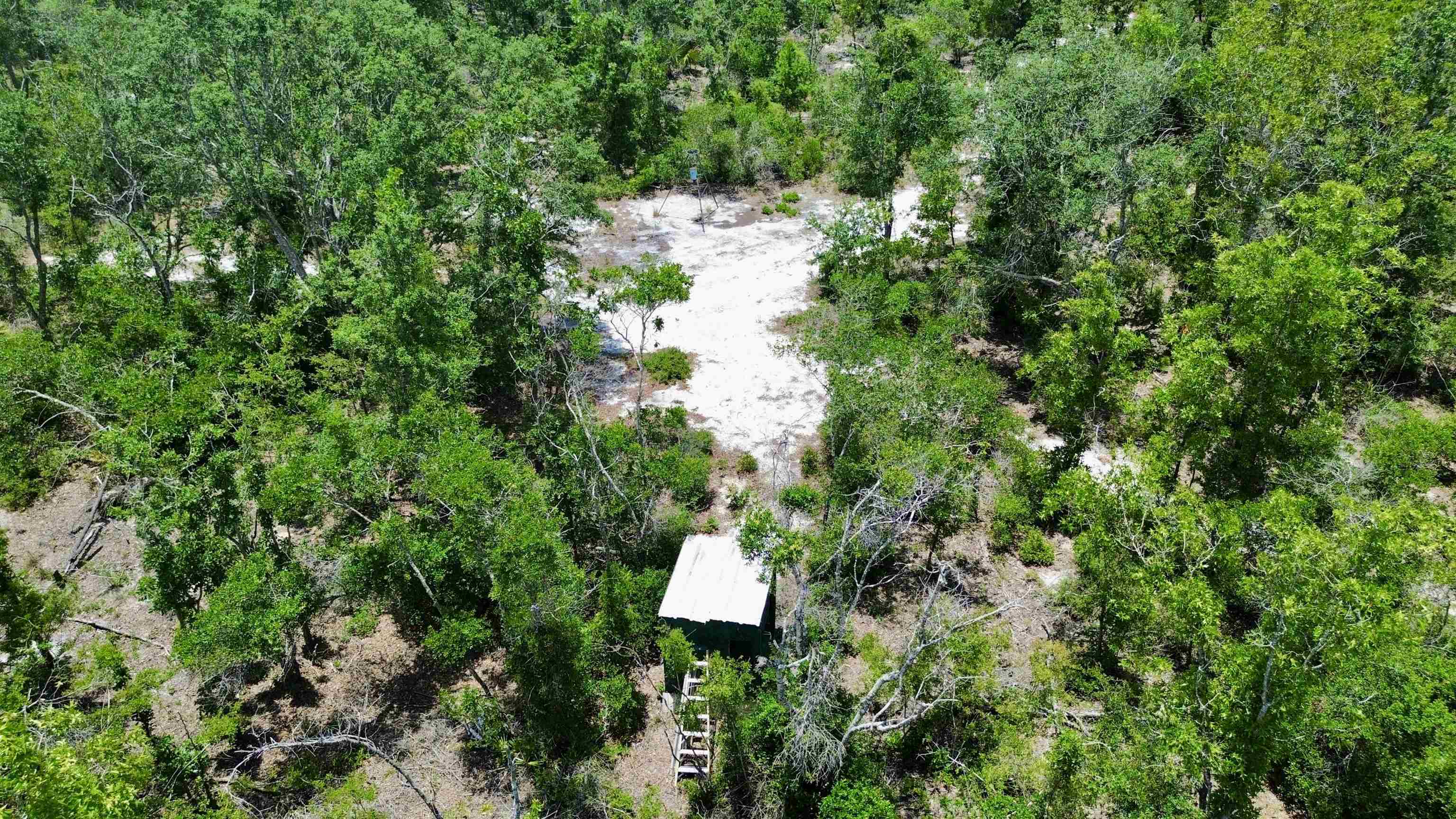 00 Clearwater Creek Lane, Perry, Florida image 9