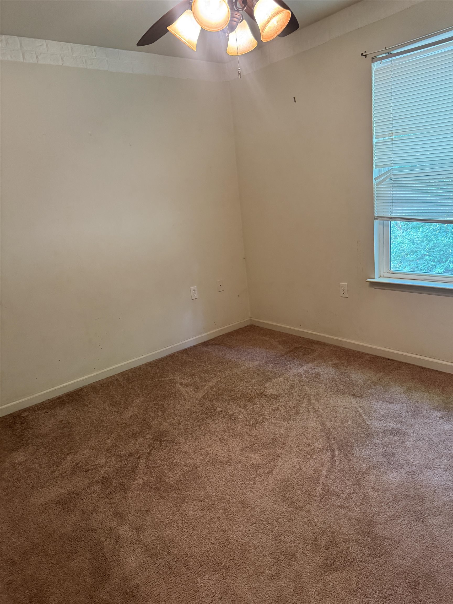 2507 Pennlyn Drive, Tallahassee, Texas image 21