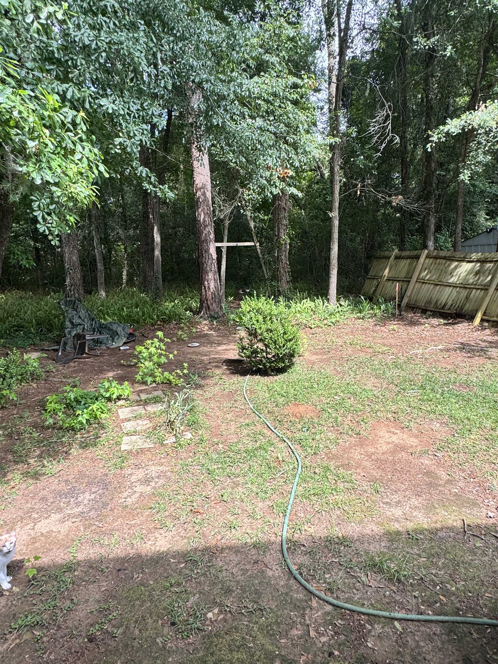 2507 Pennlyn Drive, Tallahassee, Texas image 22