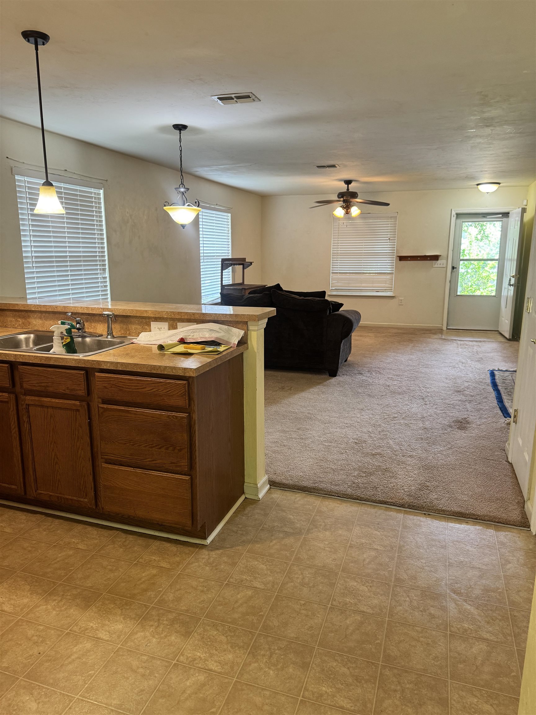 2507 Pennlyn Drive, Tallahassee, Texas image 5