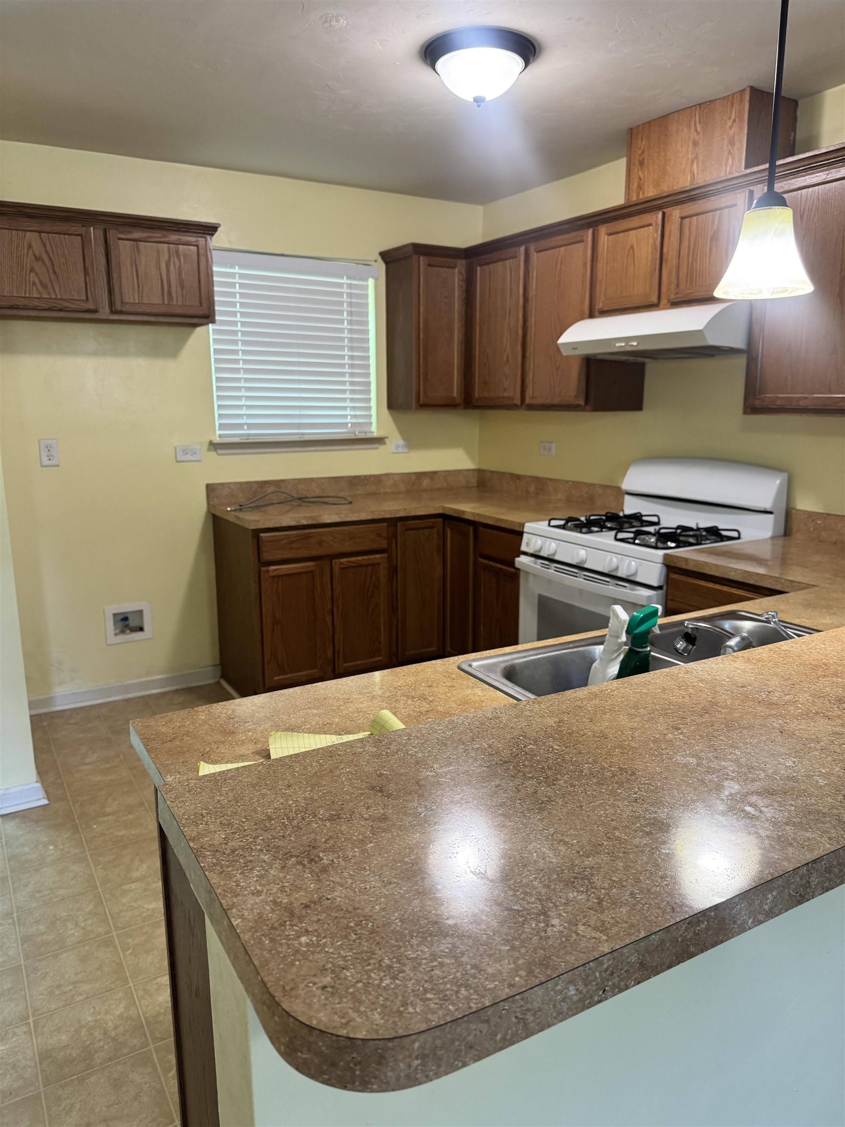 2507 Pennlyn Drive, Tallahassee, Texas image 7