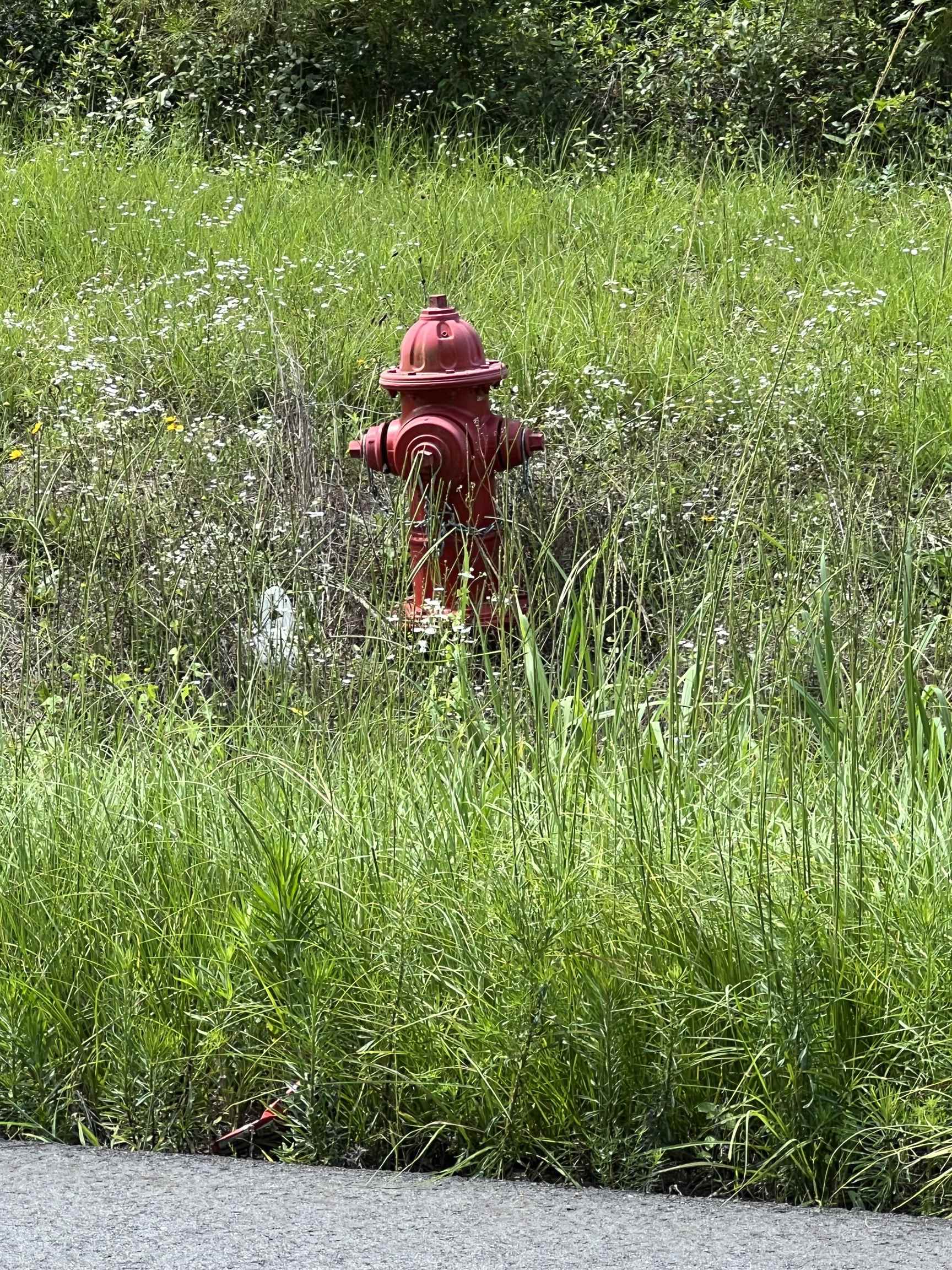 Xx Hardaway Highway, Gretna, Florida image 10