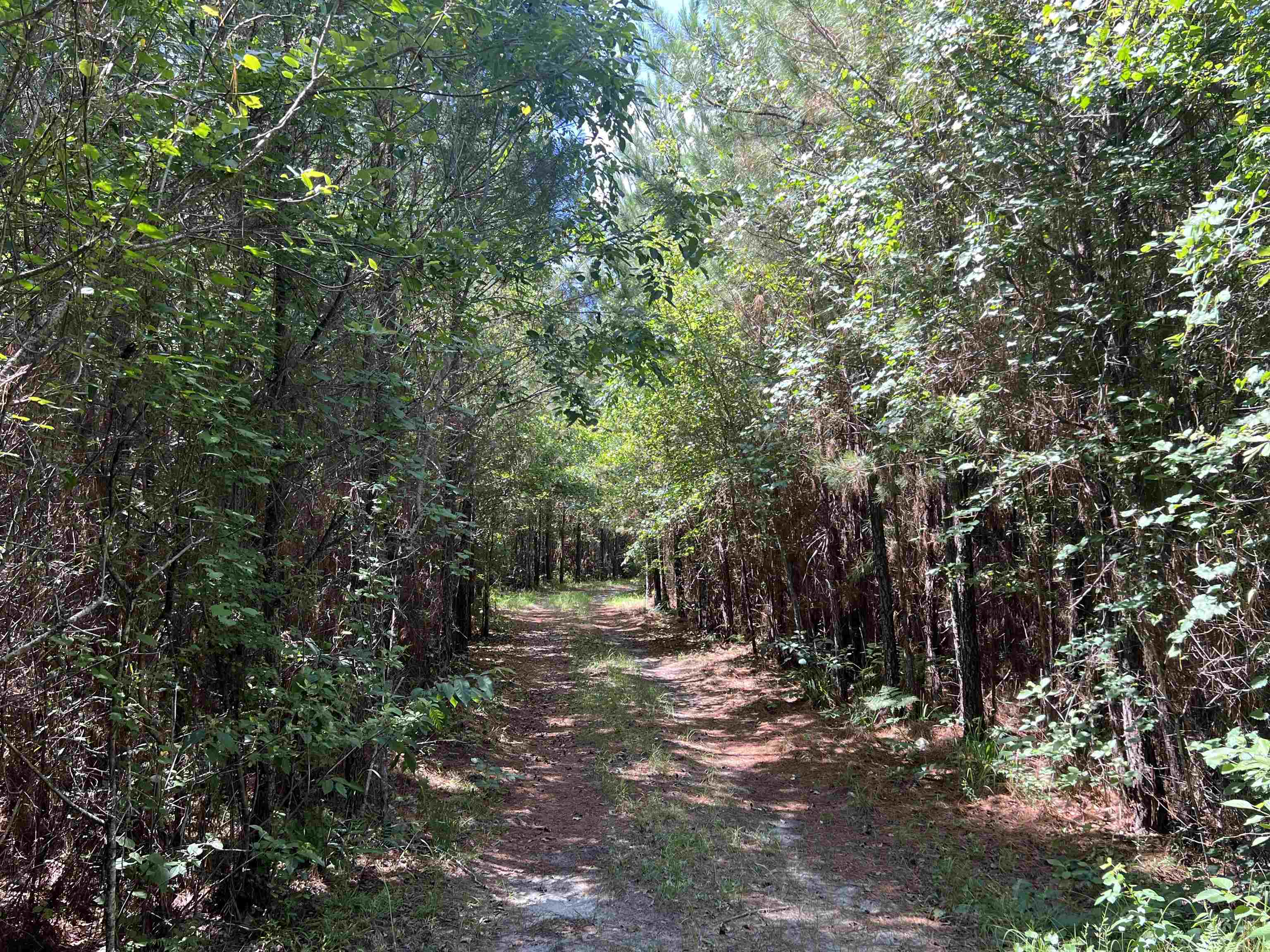 Xx Hardaway Highway, Gretna, Florida image 12