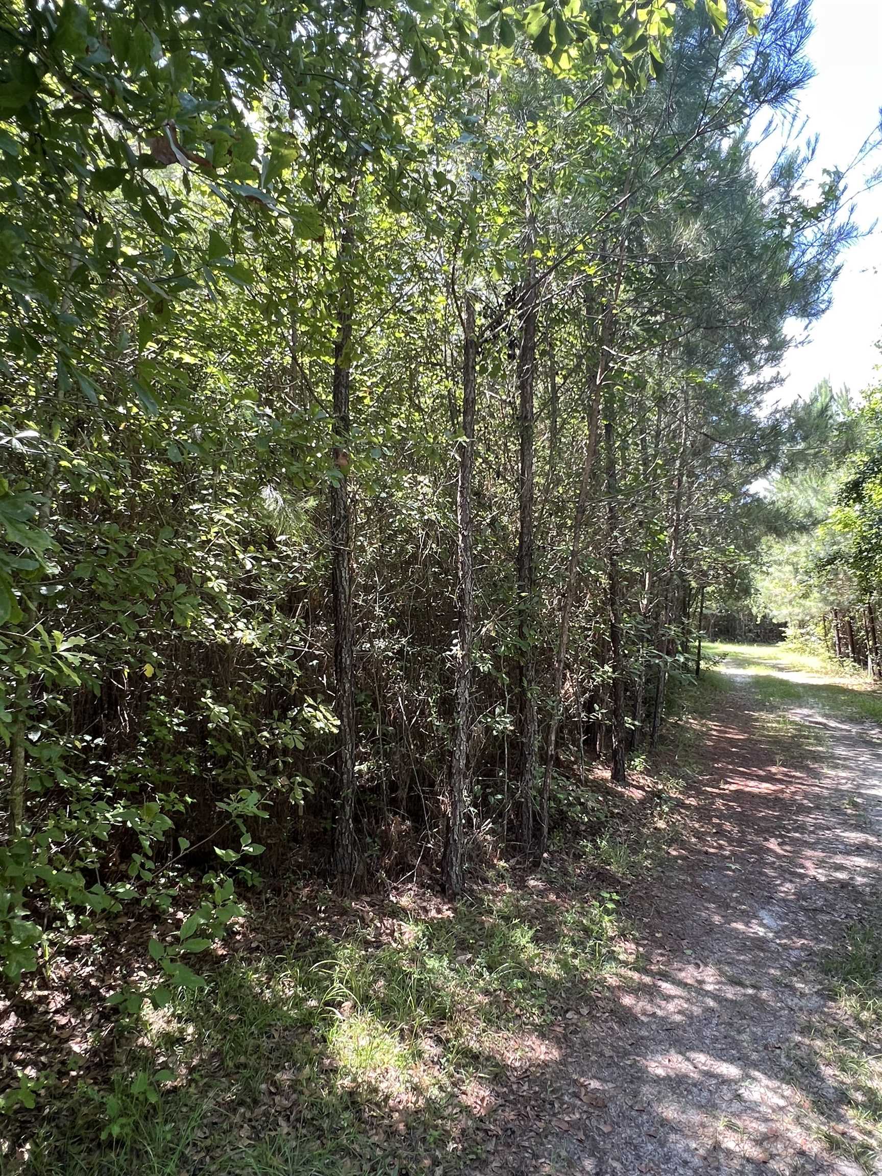 Xx Hardaway Highway, Gretna, Florida image 15