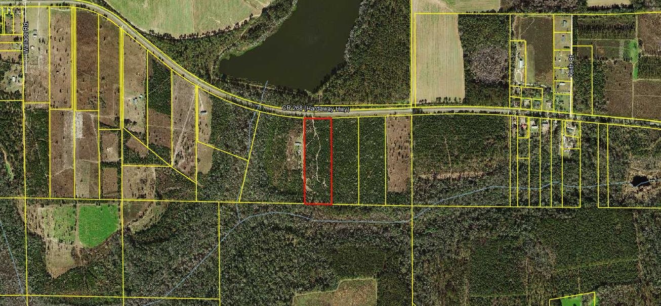 Xx Hardaway Highway, Gretna, Florida image 17