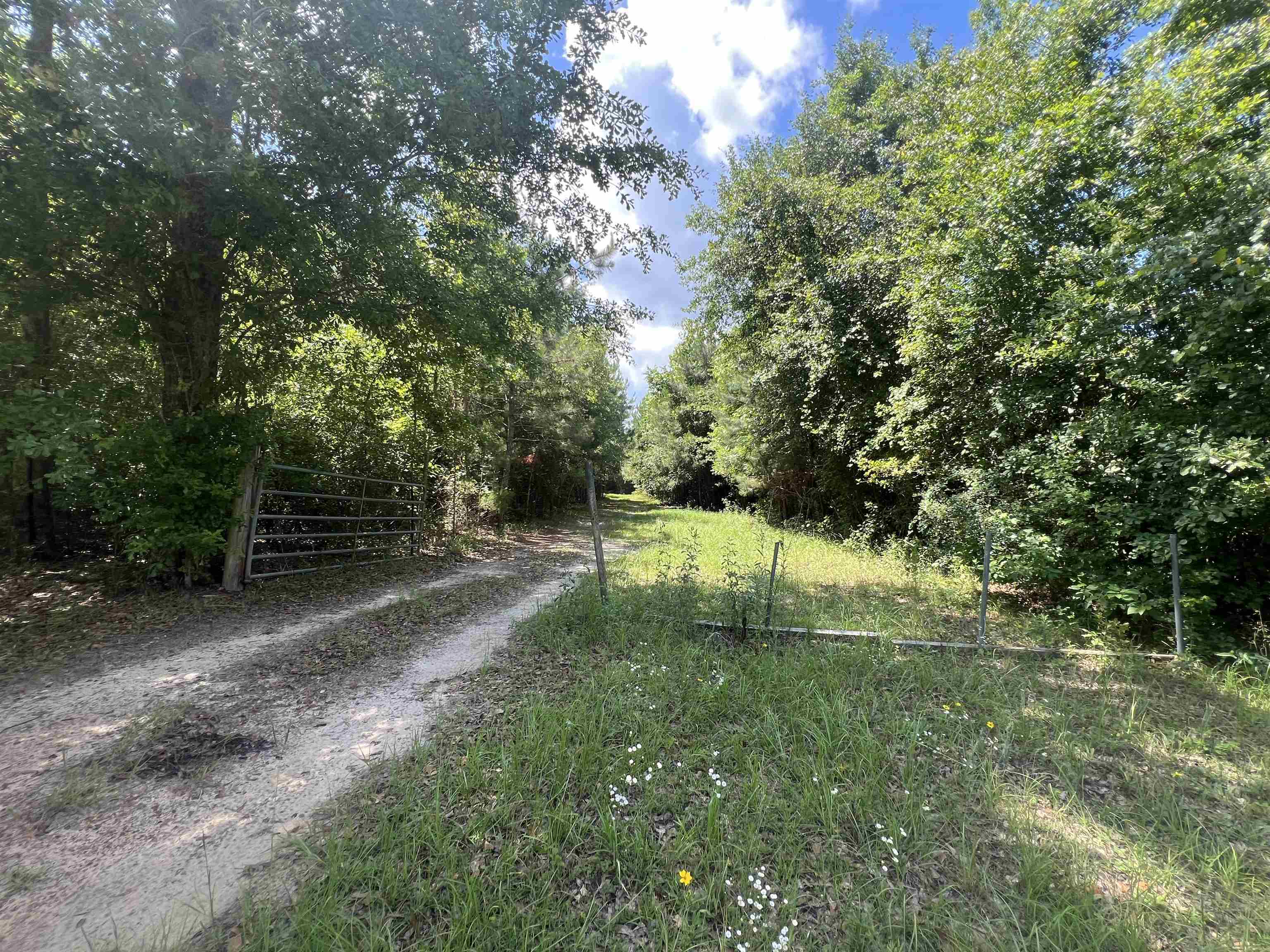 Xx Hardaway Highway, Gretna, Florida image 2