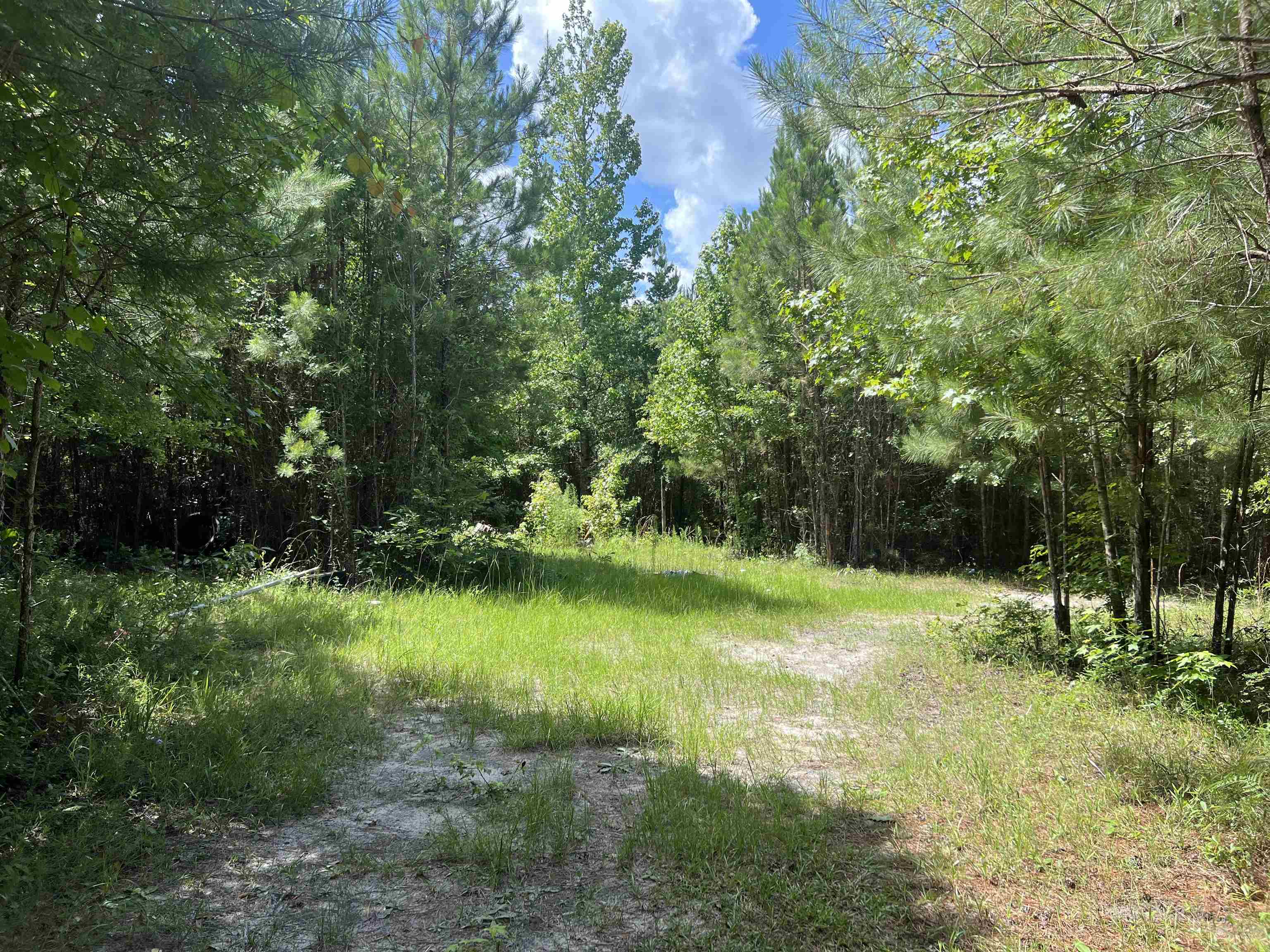 Xx Hardaway Highway, Gretna, Florida image 5