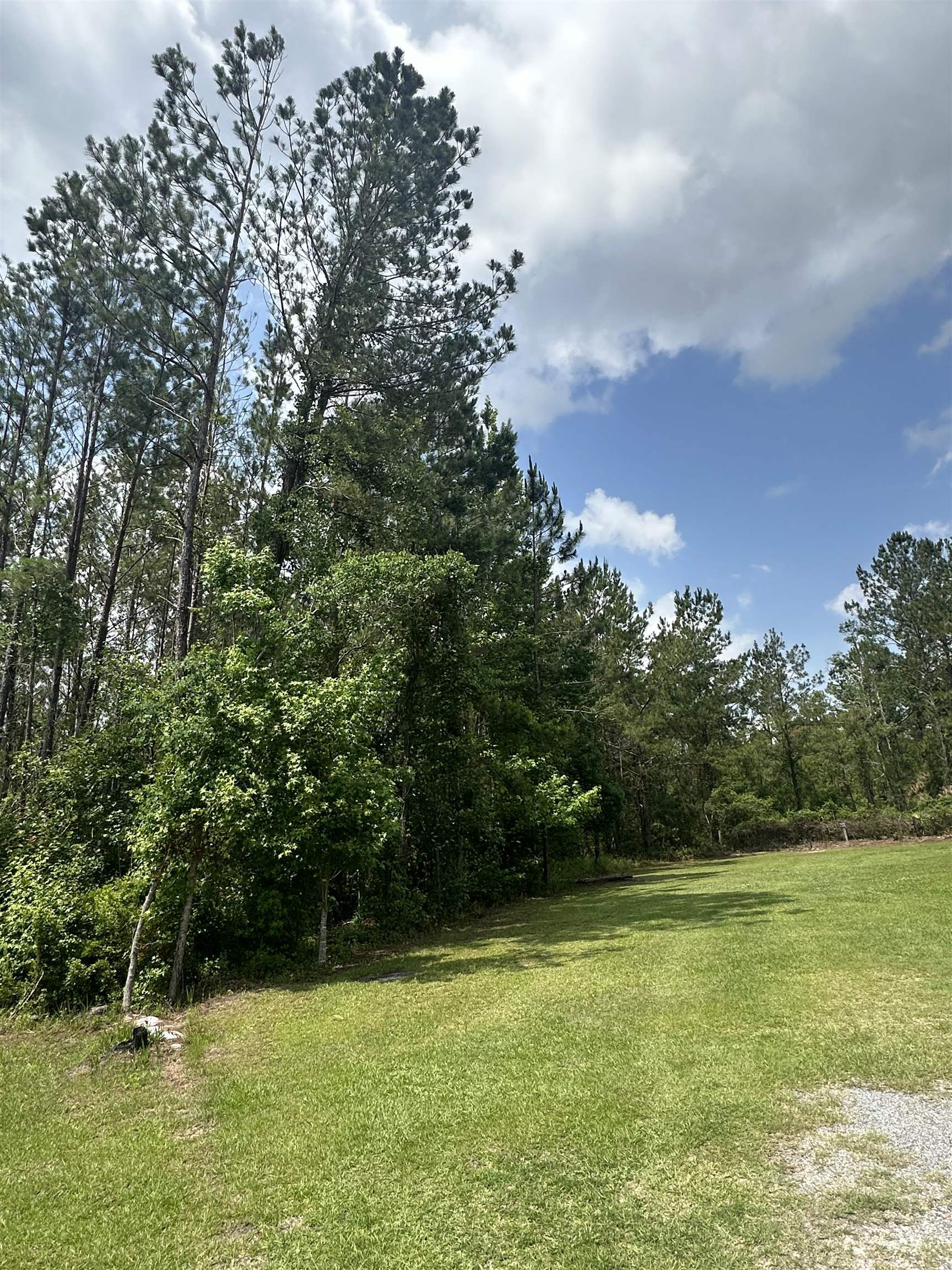 TBD NW Us Hwy 129, Jasper, Florida image 1