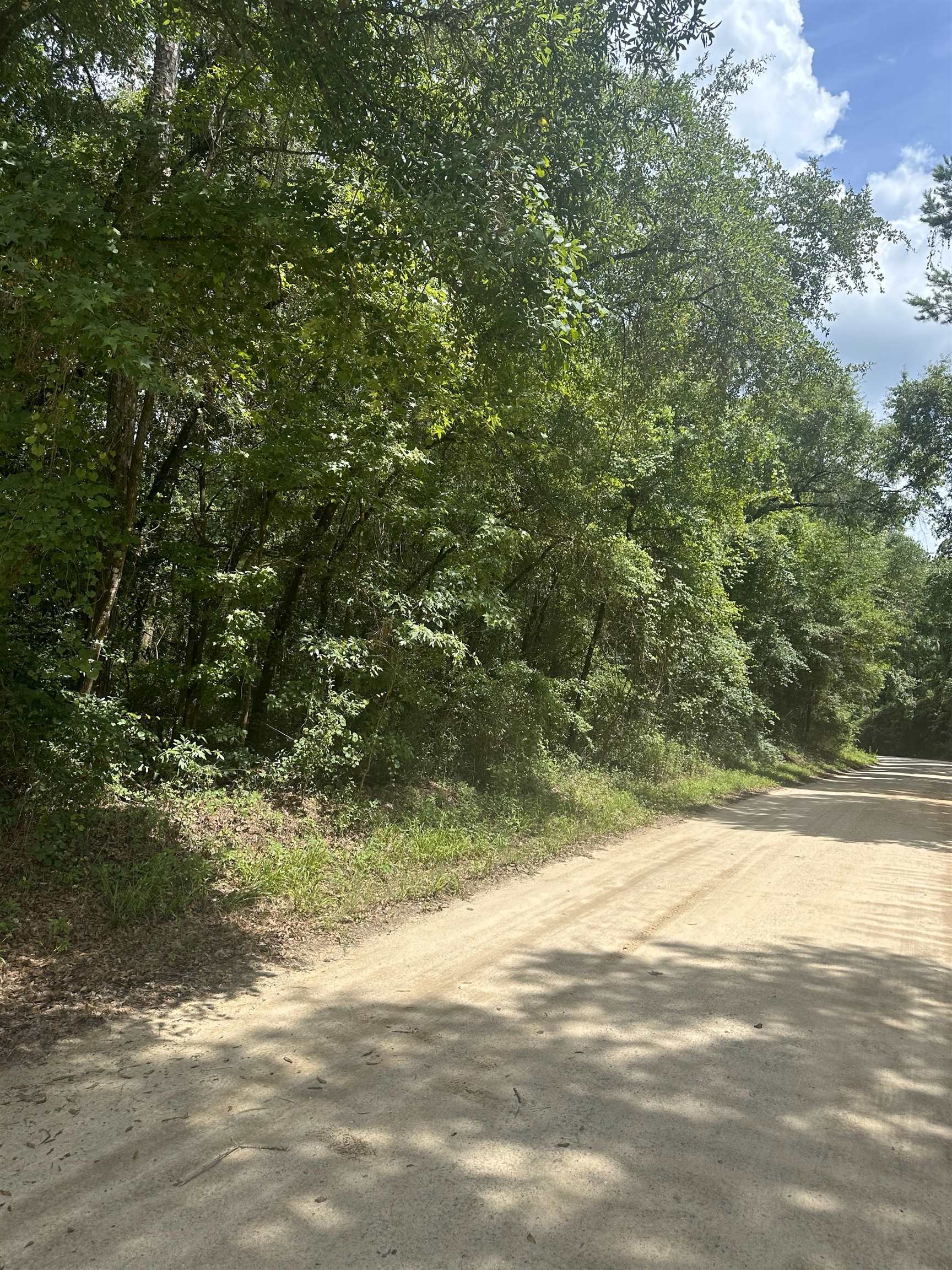 XXX Parramore Shores Road, Tallahassee, Florida image 3