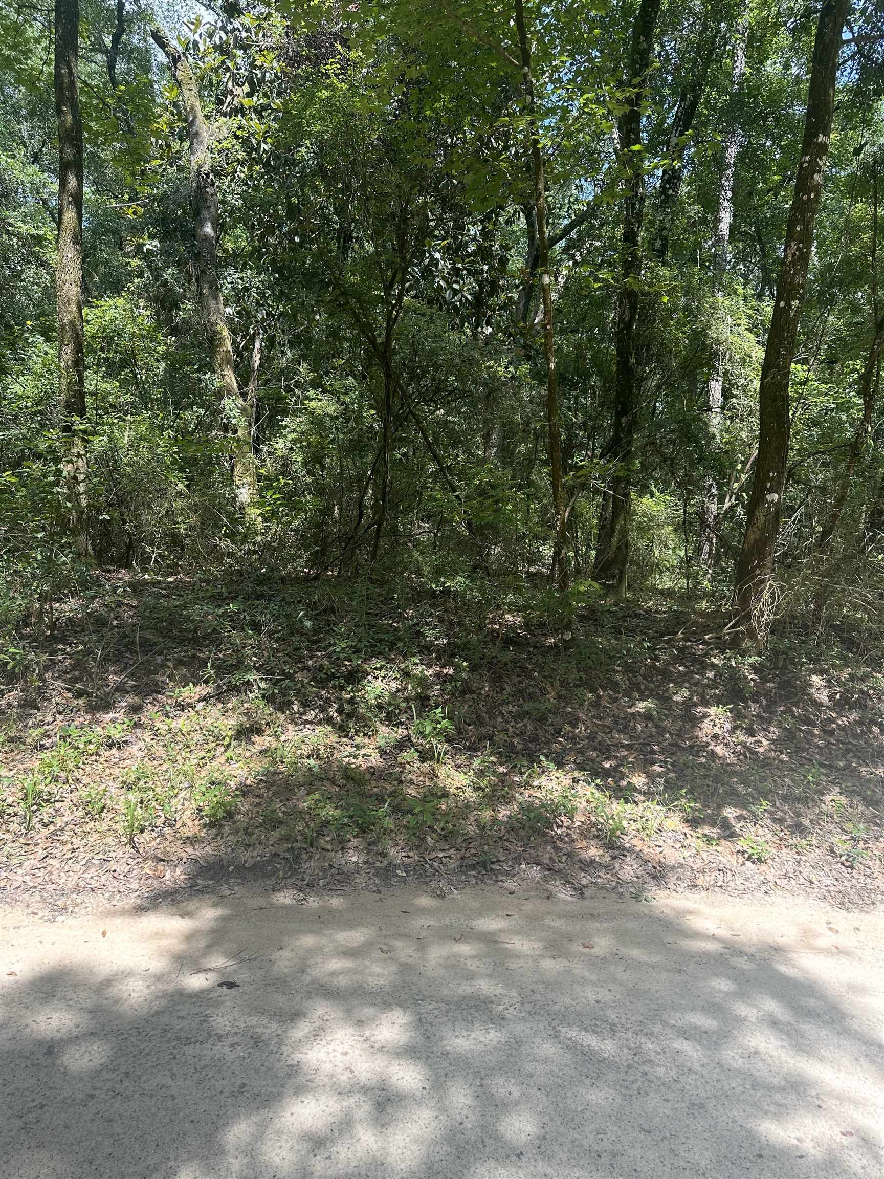 XXX Parramore Shores Road, Tallahassee, Florida image 7