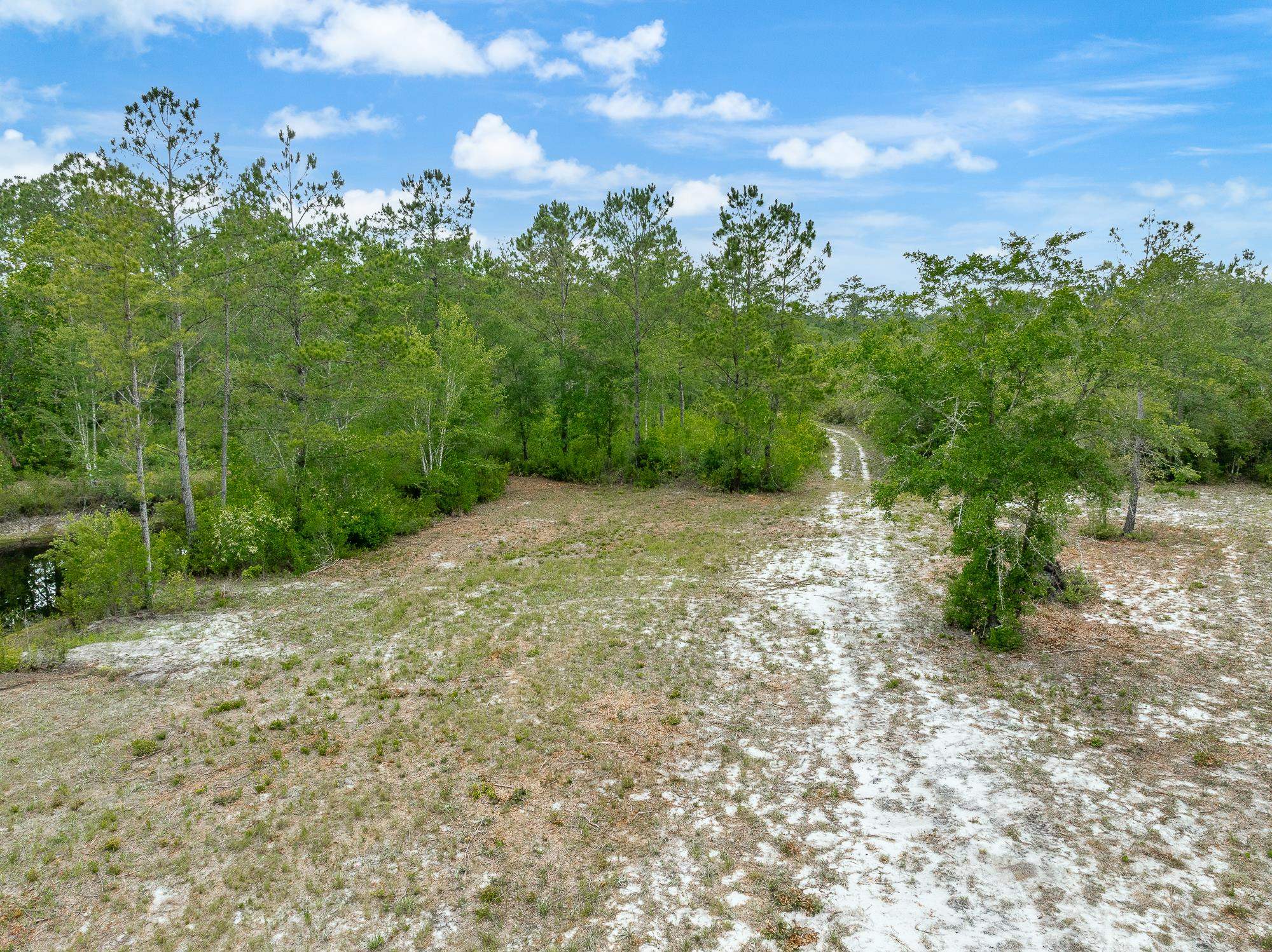 Pam Drive, Crawfordville, Florida image 13