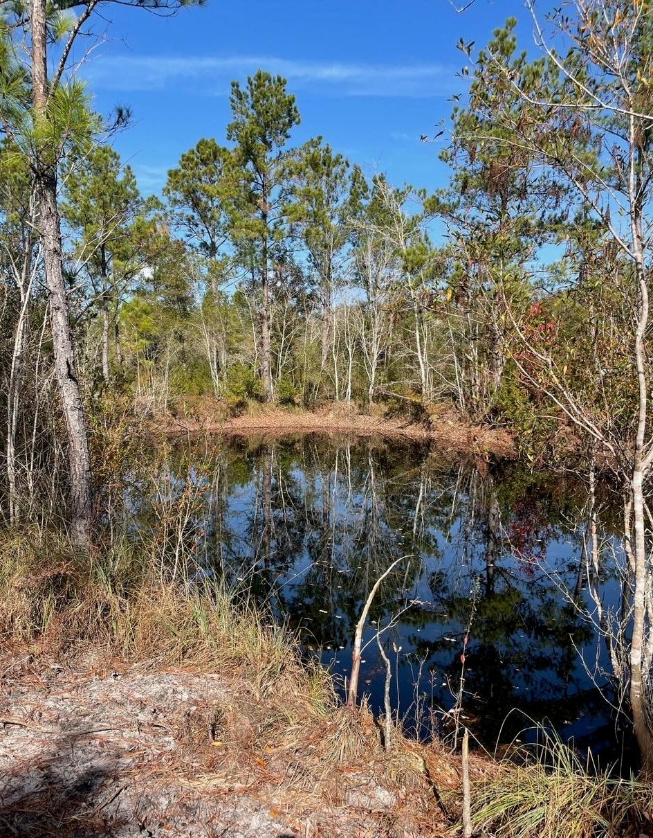 Pam Drive, Crawfordville, Florida image 18