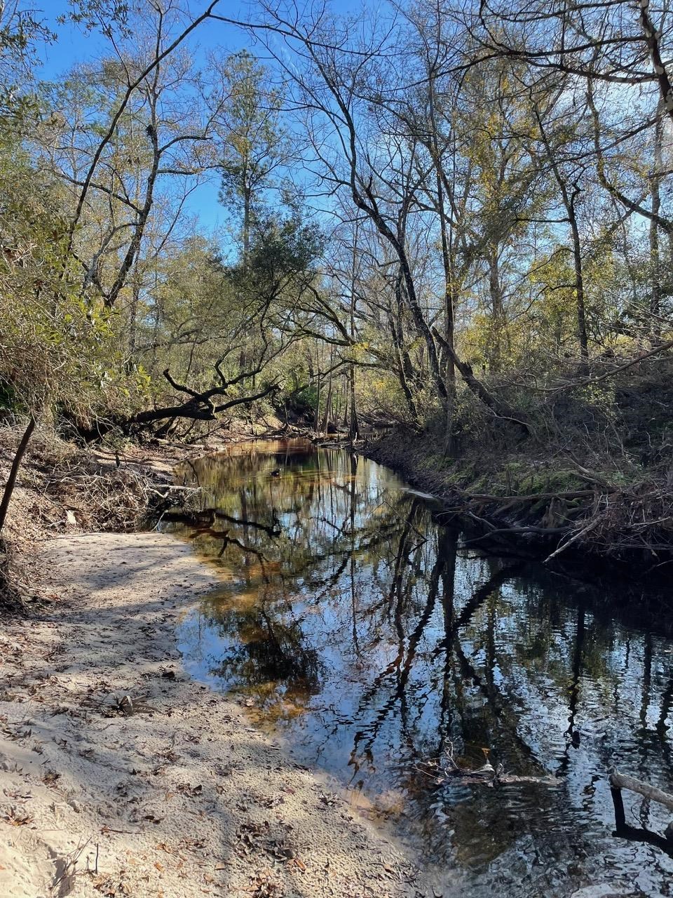 Pam Drive, Crawfordville, Florida image 21