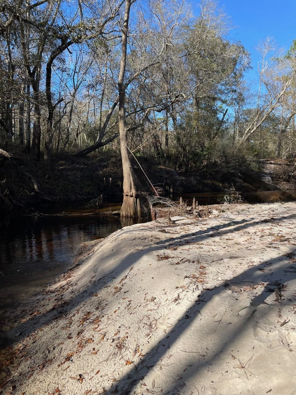 Pam Drive, Crawfordville, Florida image 22