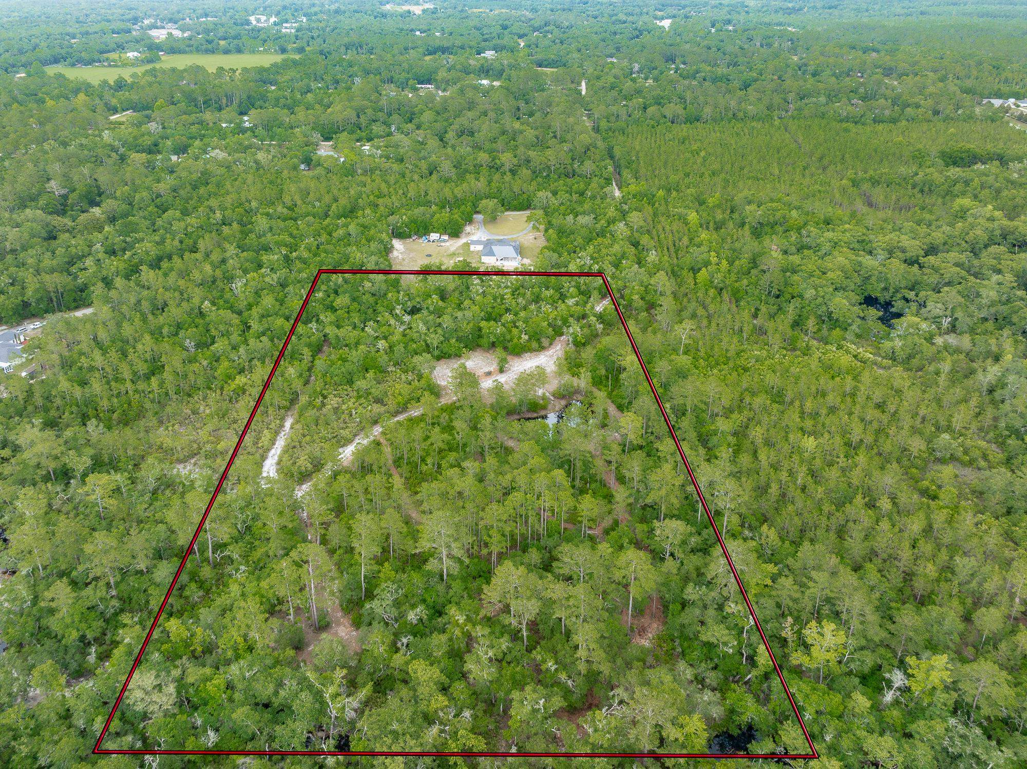 Pam Drive, Crawfordville, Florida image 5