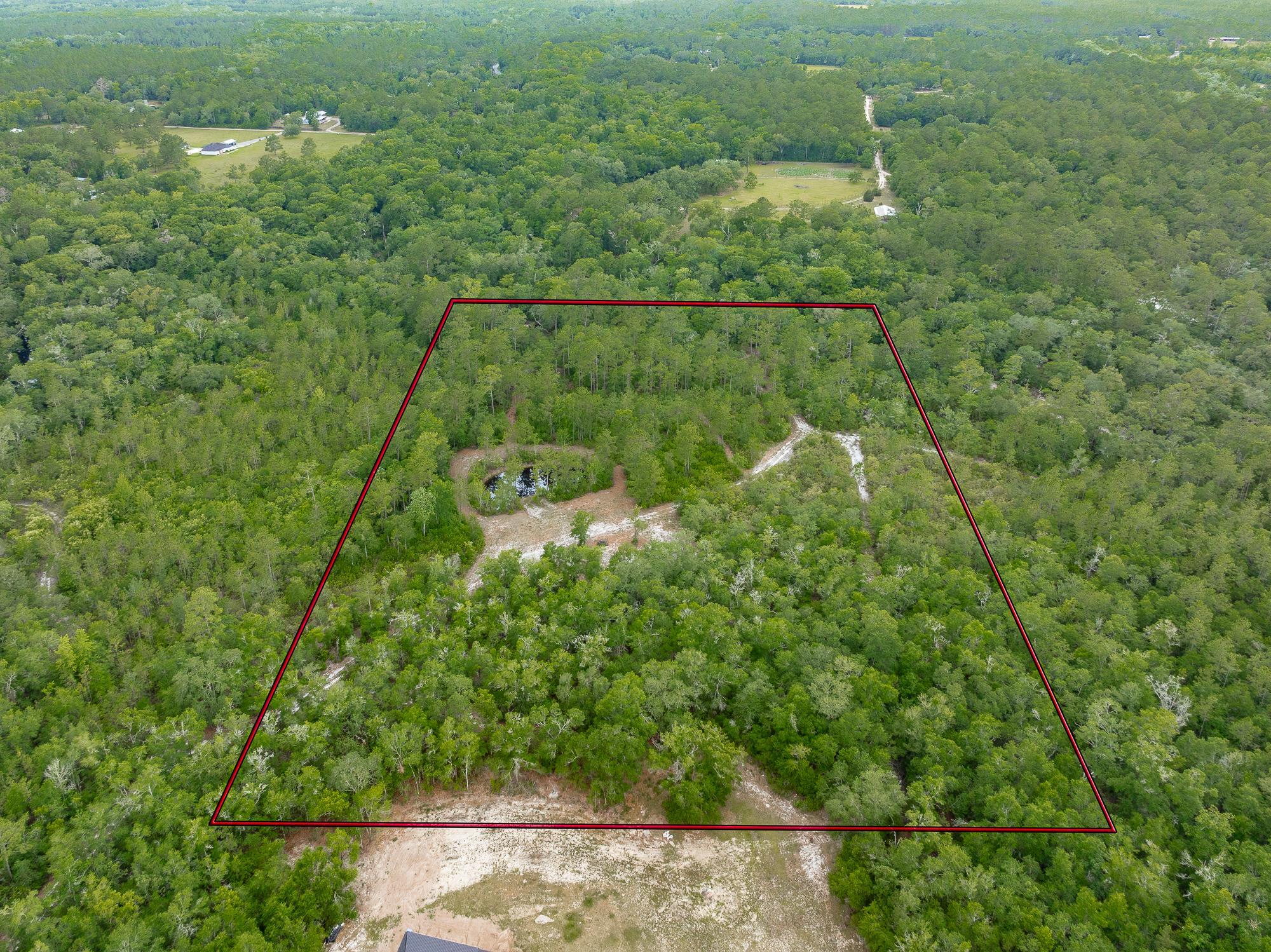 Pam Drive, Crawfordville, Florida image 9