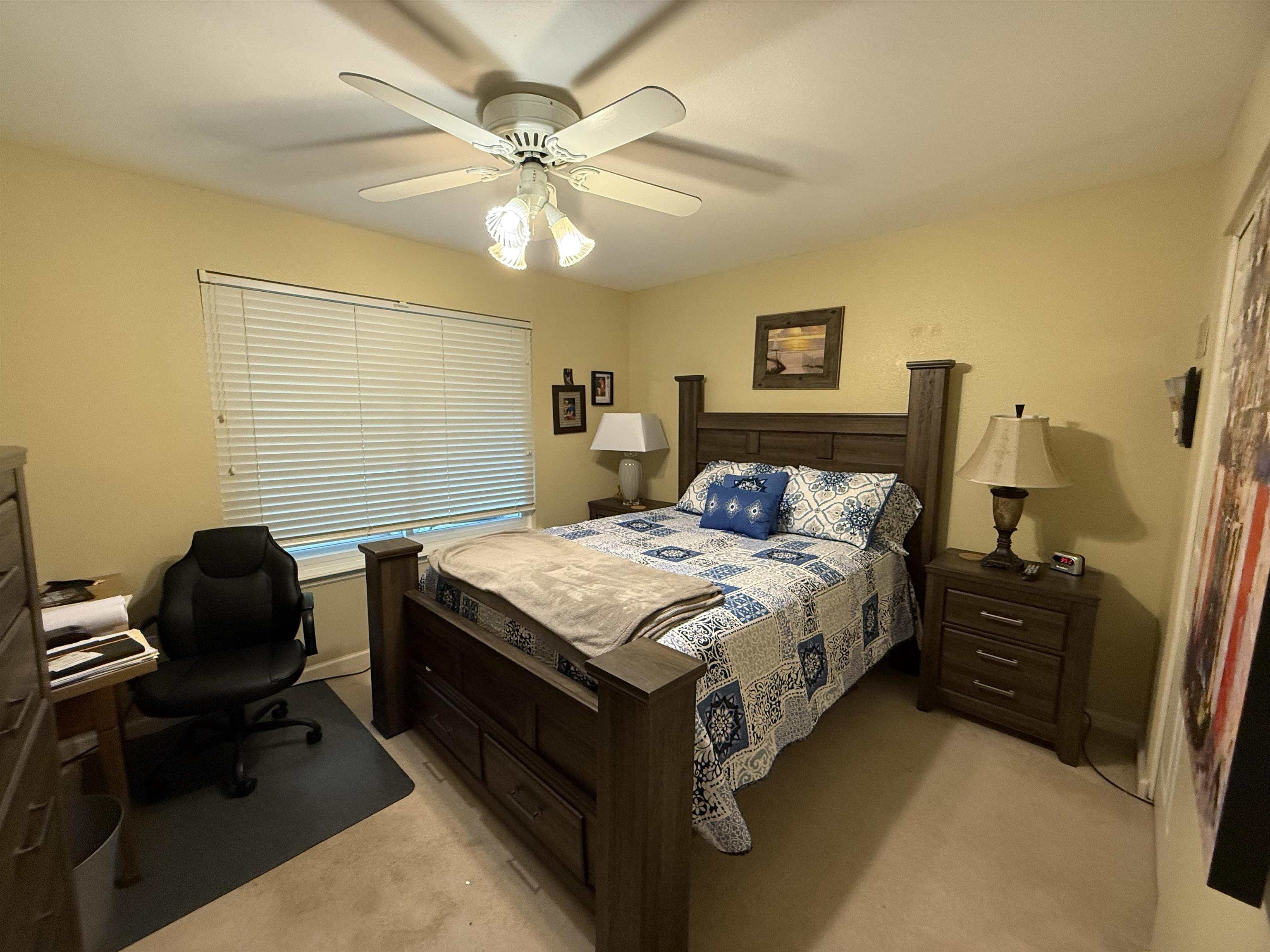 433 Frances Drive, Havana, Florida image 19