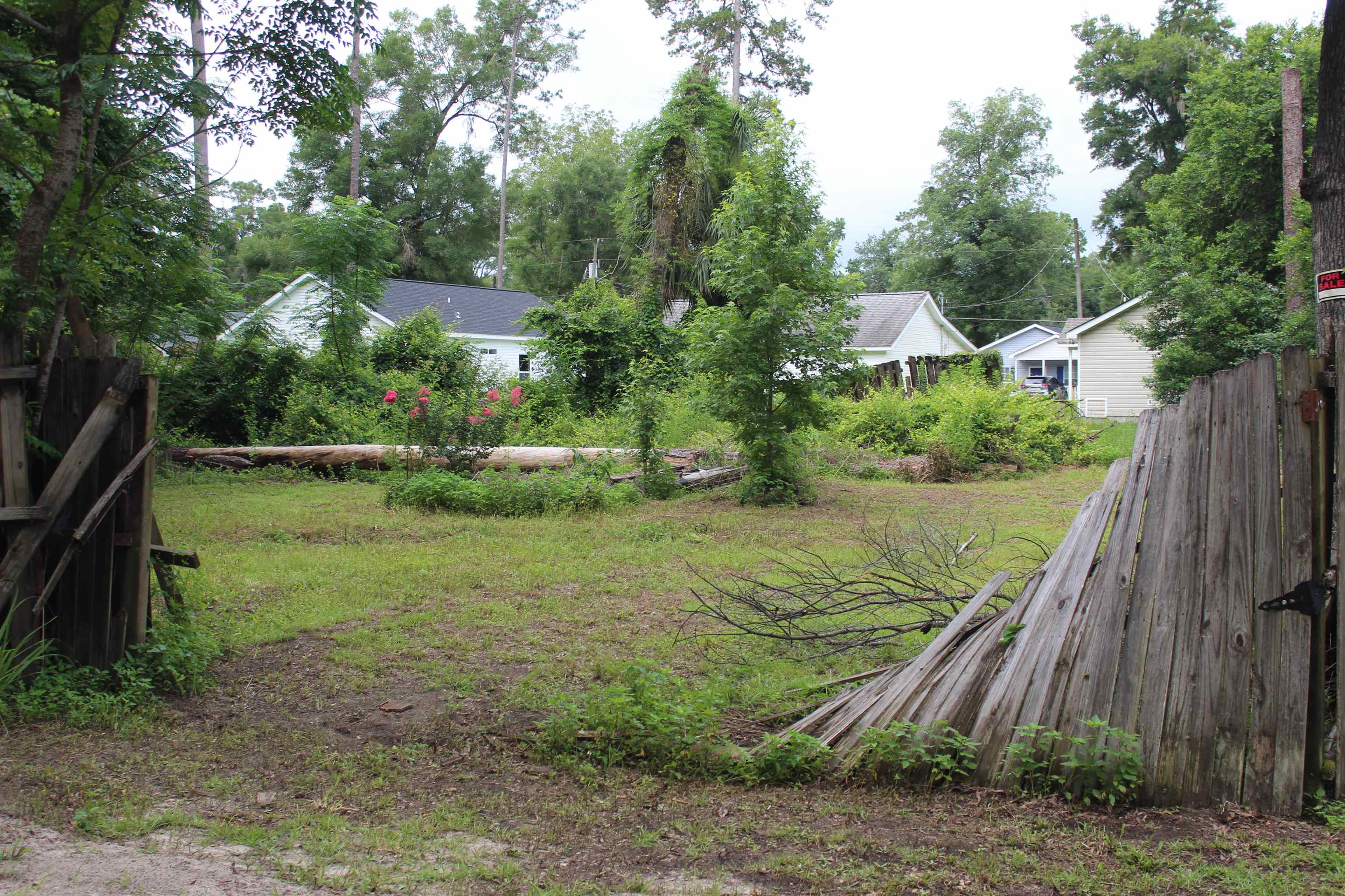 XX Chippewa, Crawfordville, Florida image 1