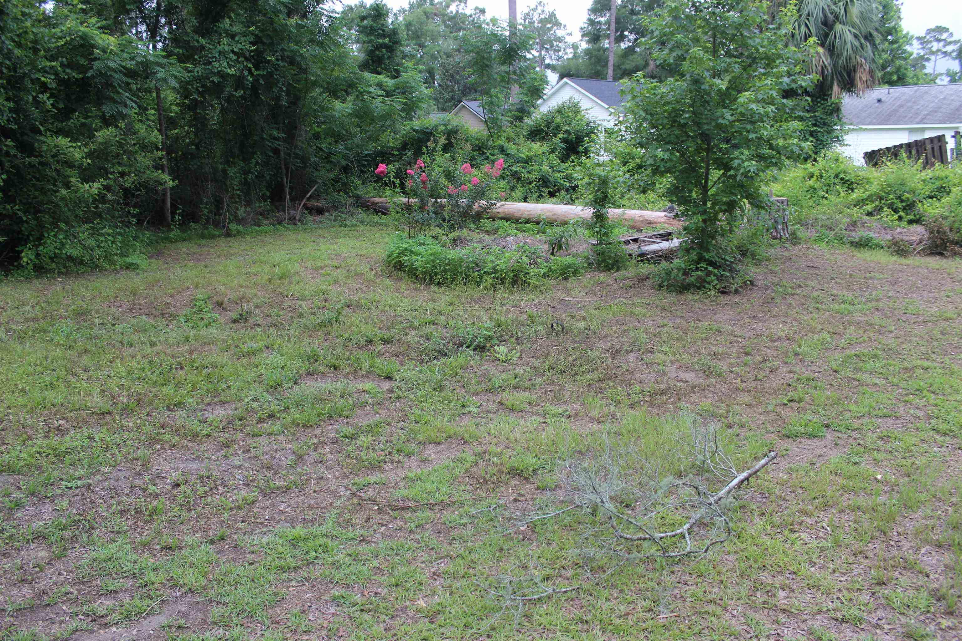 XX Chippewa, Crawfordville, Florida image 3