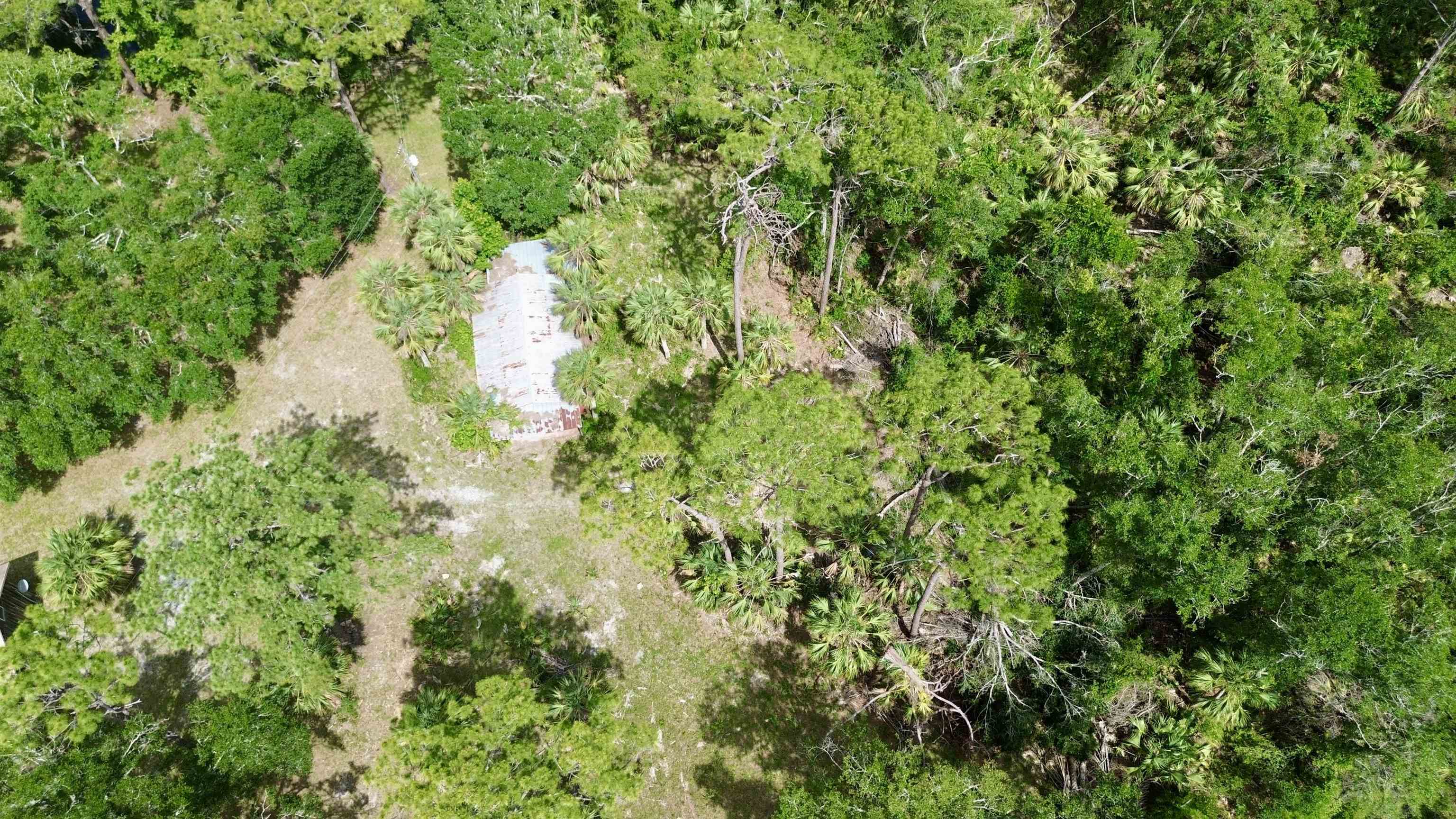 10815 Cooey Island Gr, Perry, Florida image 10