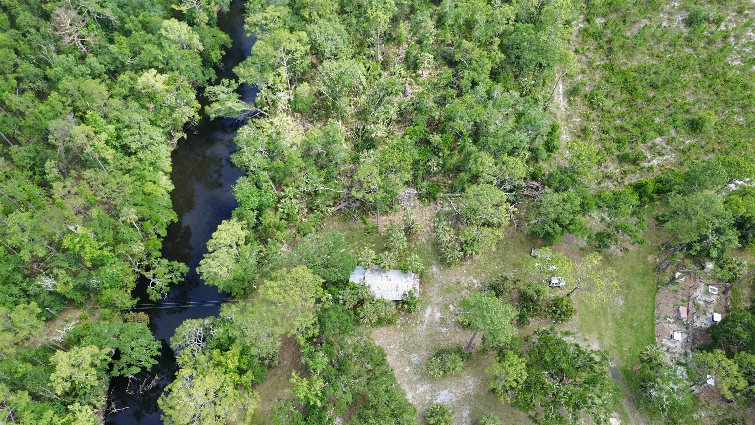 10815 Cooey Island Gr, Perry, Florida image 12