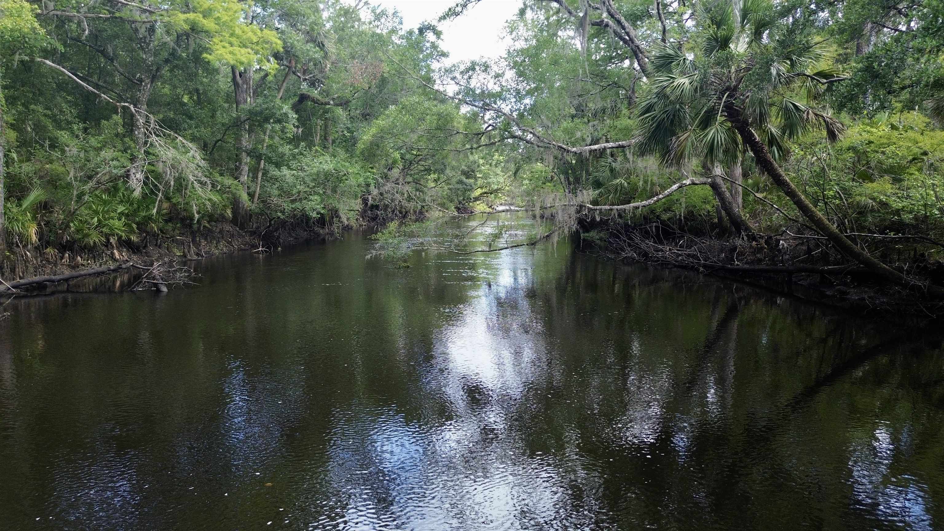 10815 Cooey Island Gr, Perry, Florida image 14