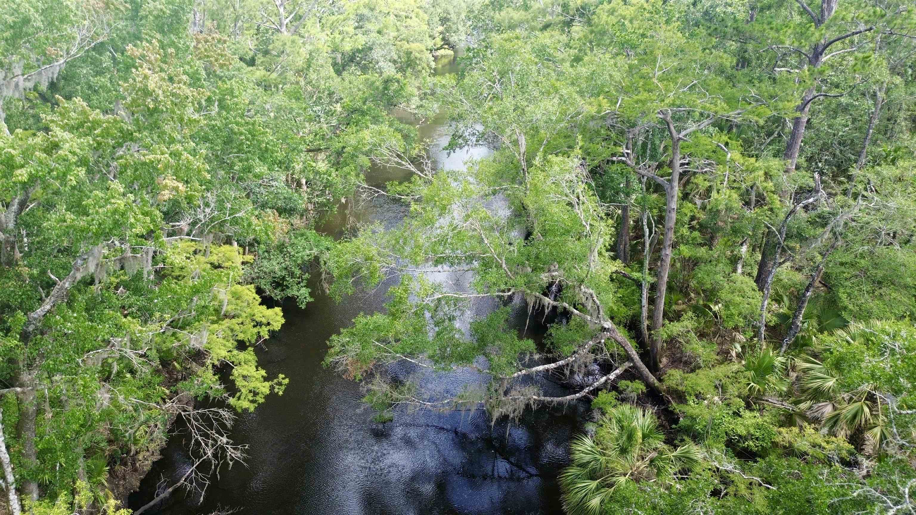 10815 Cooey Island Gr, Perry, Florida image 15