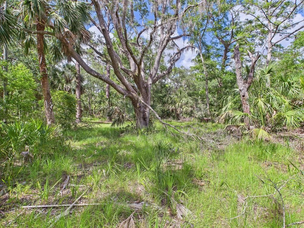 10815 Cooey Island Gr, Perry, Florida image 16