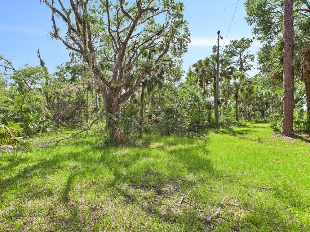 10815 Cooey Island Gr, Perry, Florida image 18