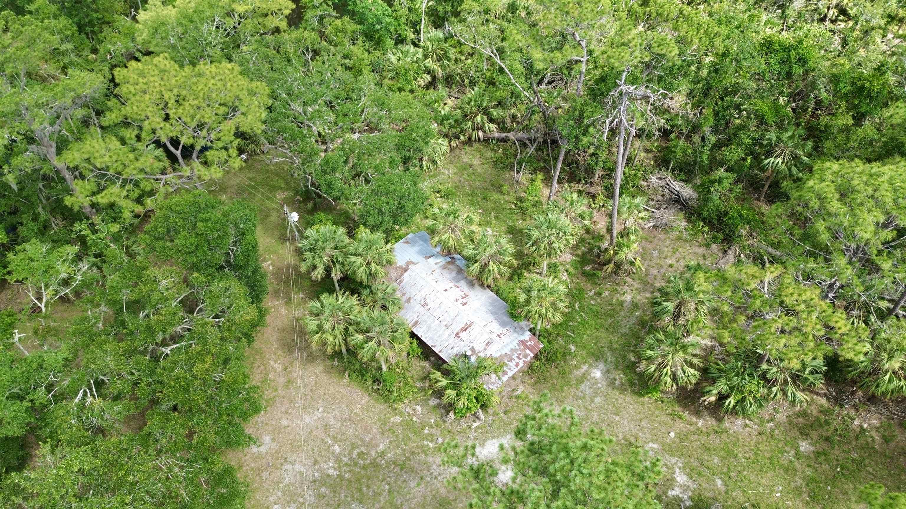 10815 Cooey Island Gr, Perry, Florida image 7