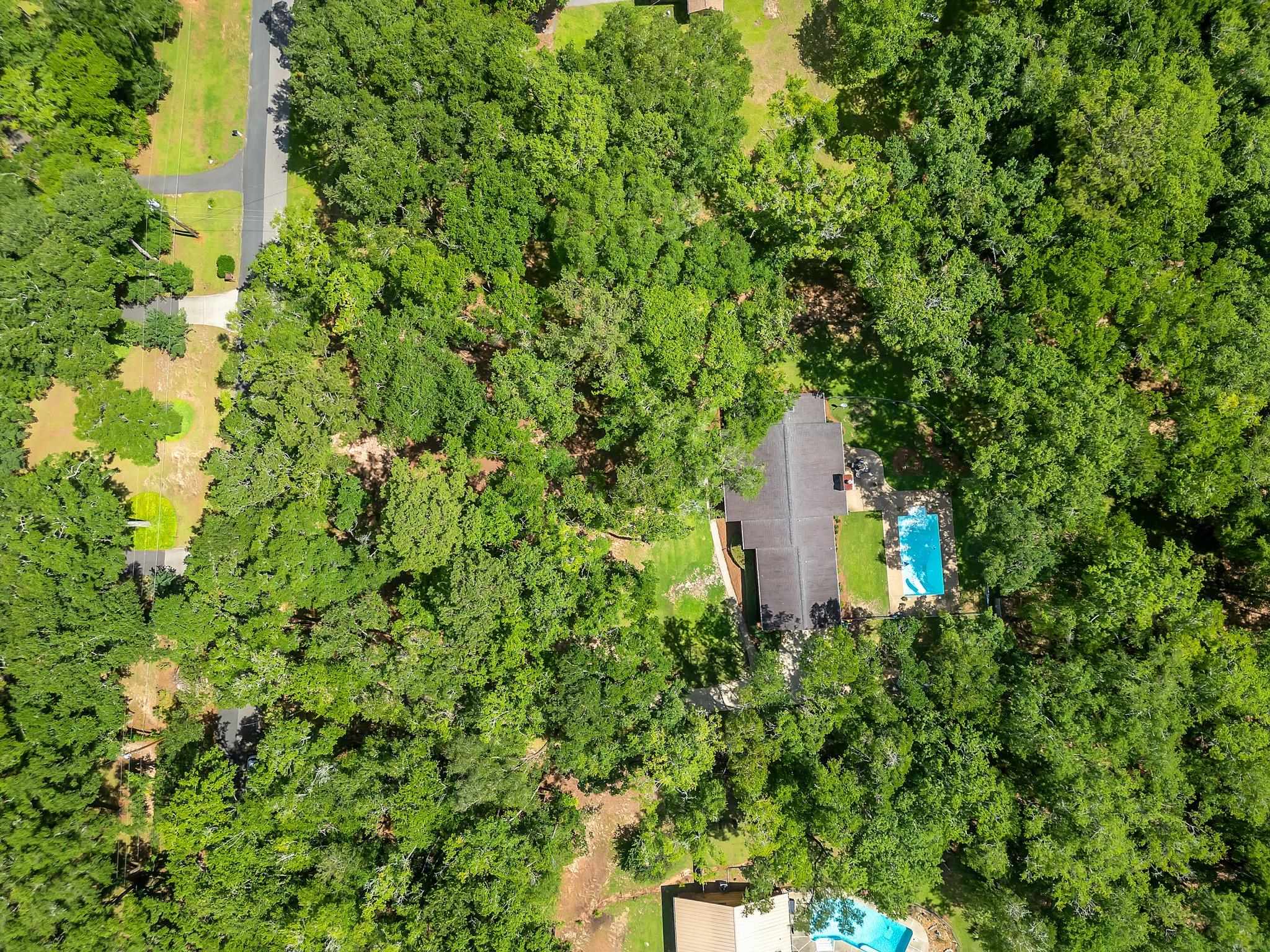 523 Tung Hill Drive, Tallahassee, Florida image 41
