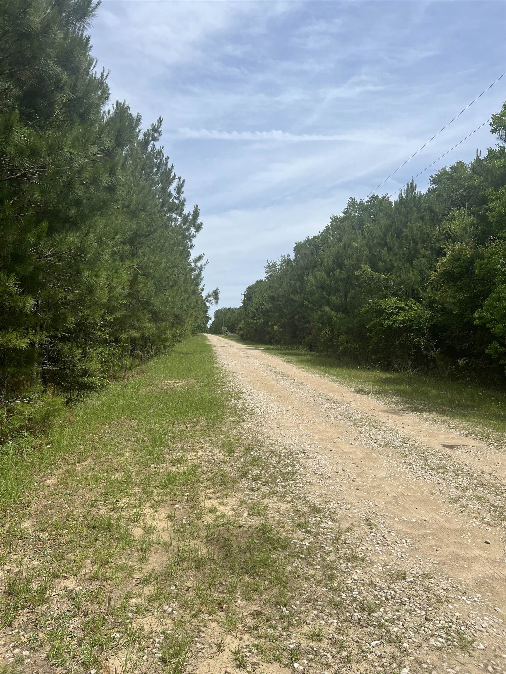 XX Orchard Road, Quincy, Texas image 15