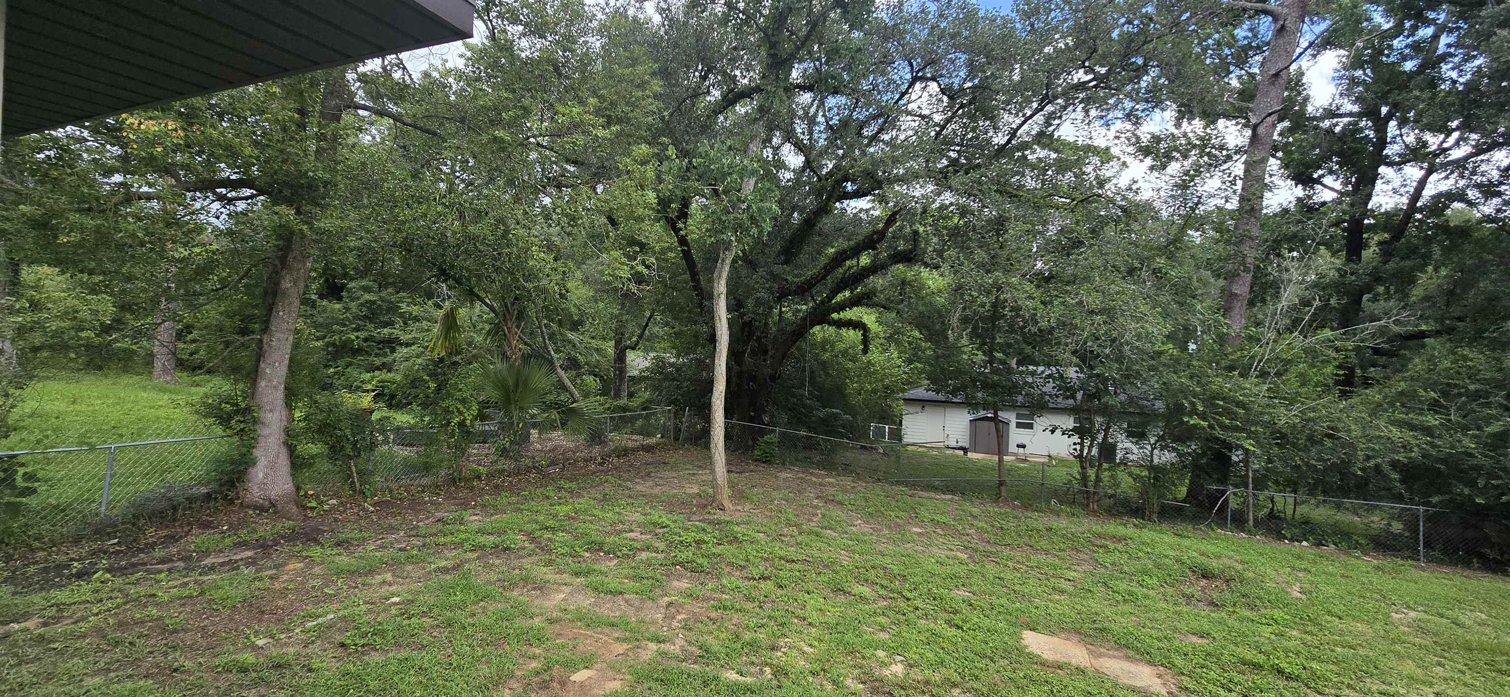 3420 Orlando Drive, Tallahassee, Florida image 29