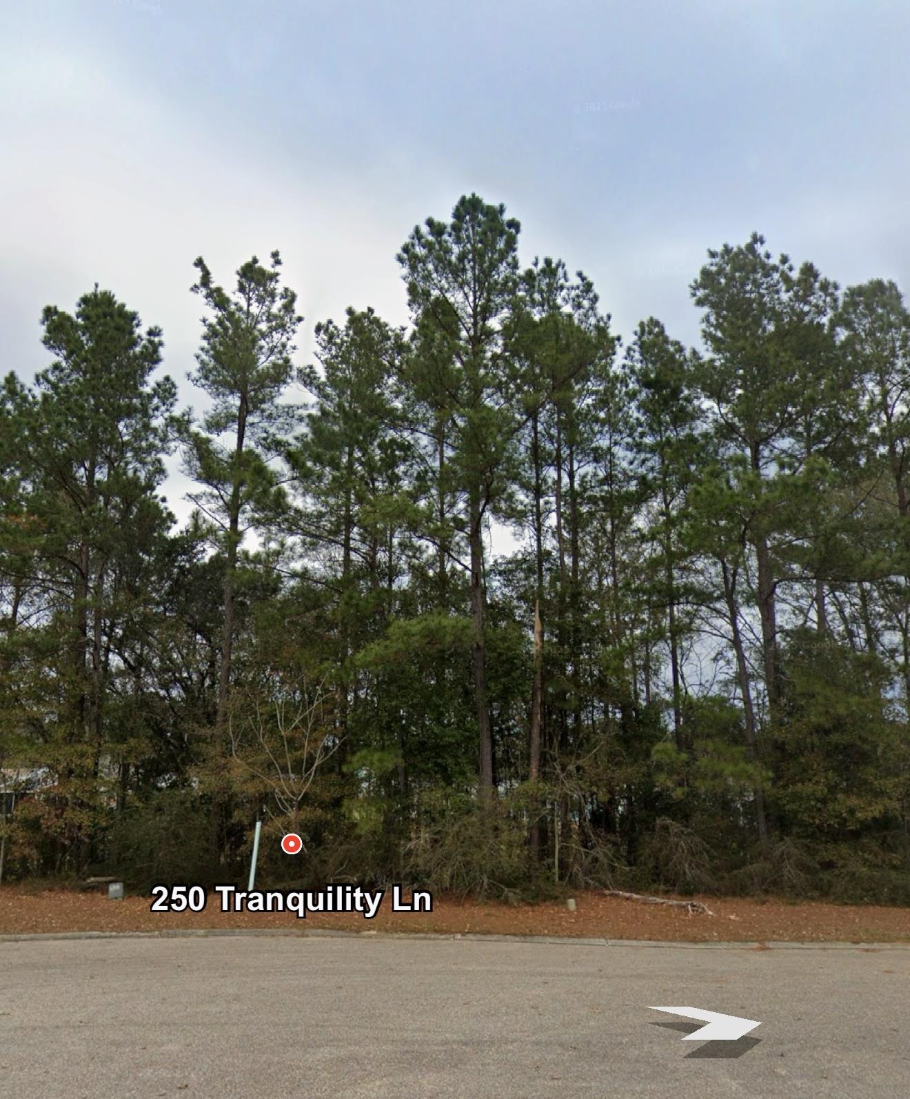 250 Tranquility Lane, Havana, Florida image 1