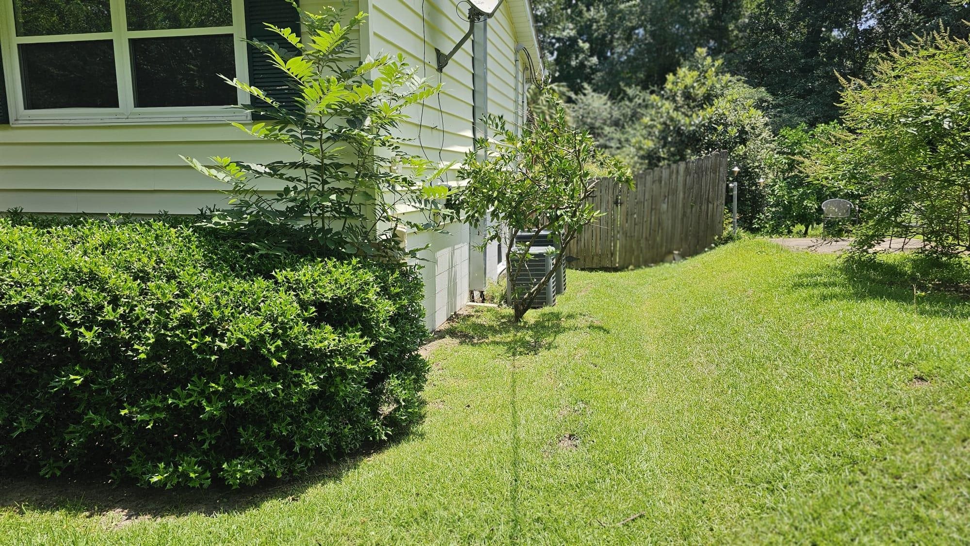 1812 Ivan Drive, Tallahassee, Florida image 11