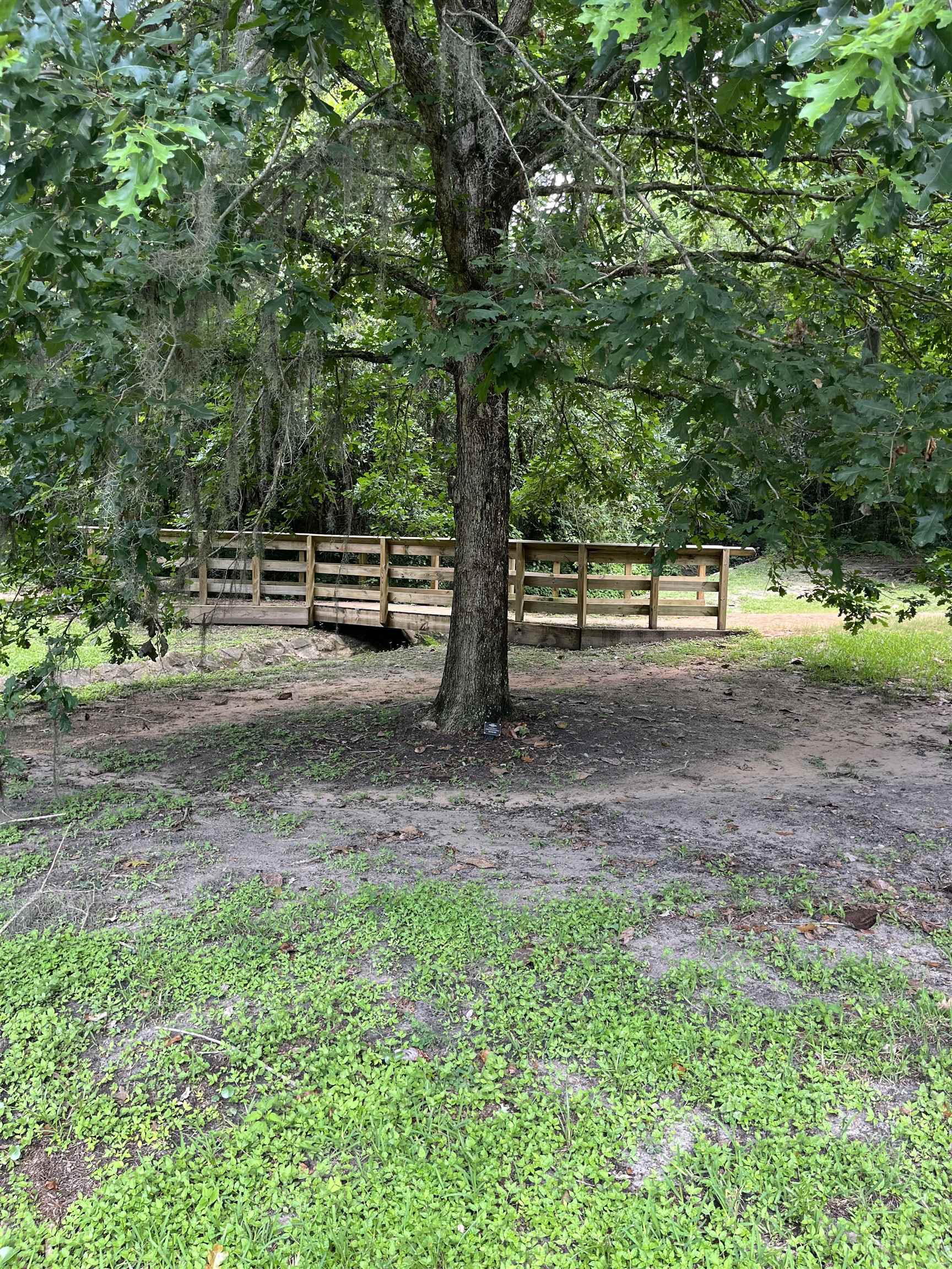 1045 Martin Street, Tallahassee, Florida image 4