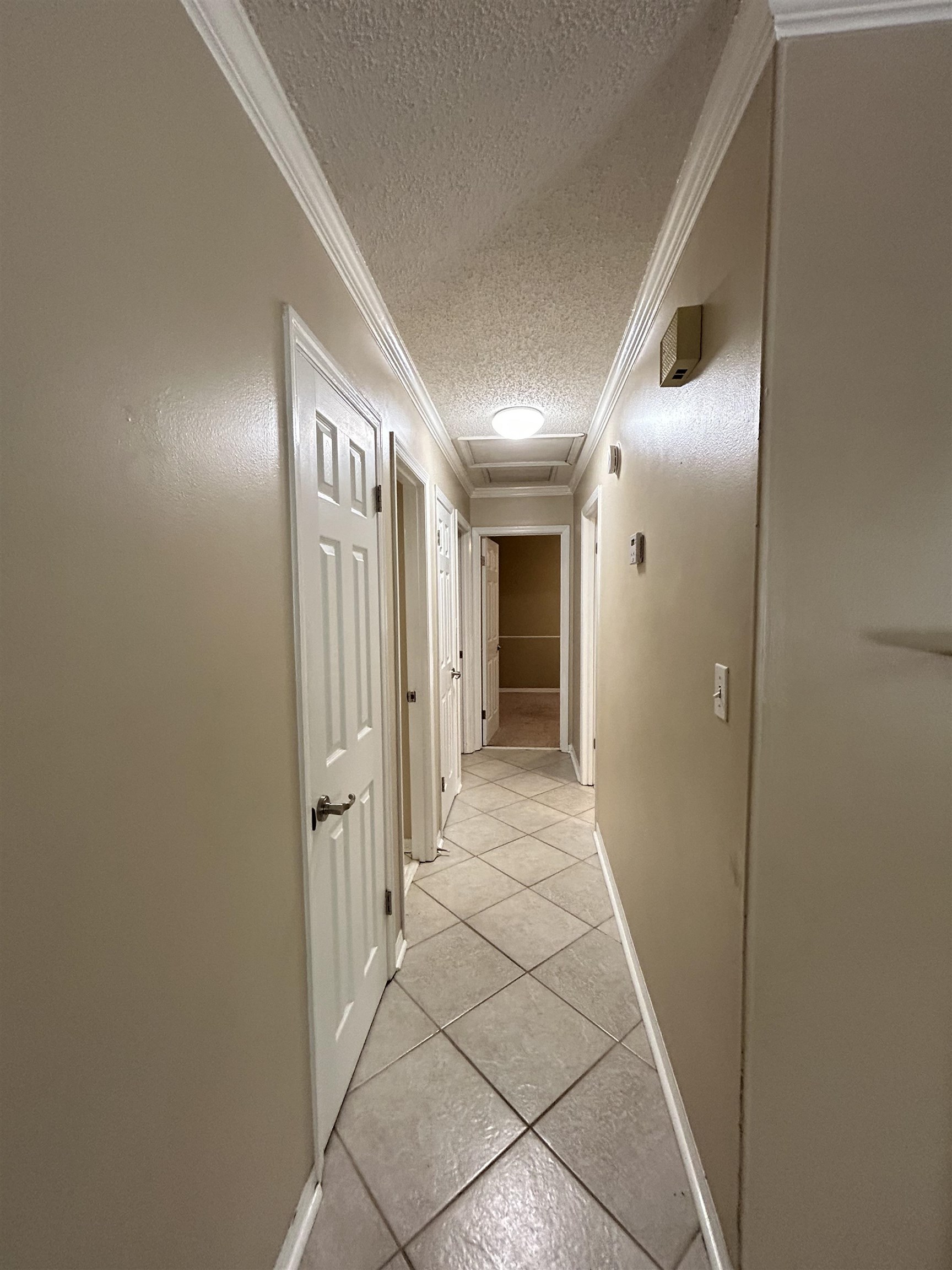 6842 Tomy Lee Trail, Tallahassee, Florida image 15