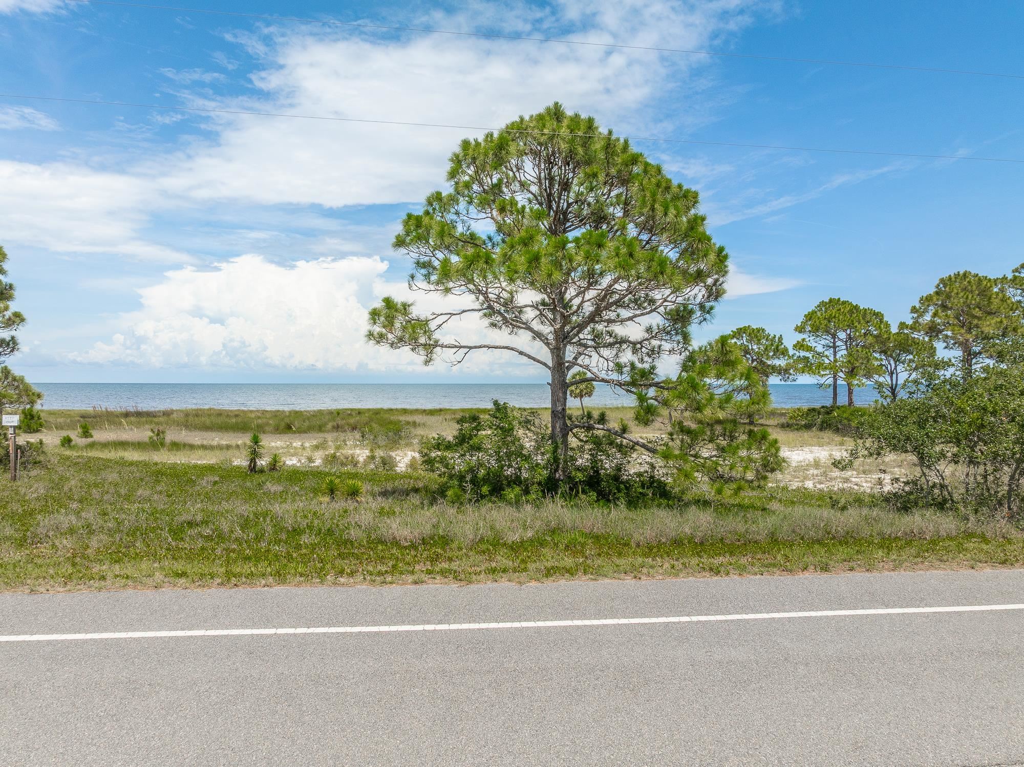 722 Bald Point Road, Alligator Point, Florida image 1