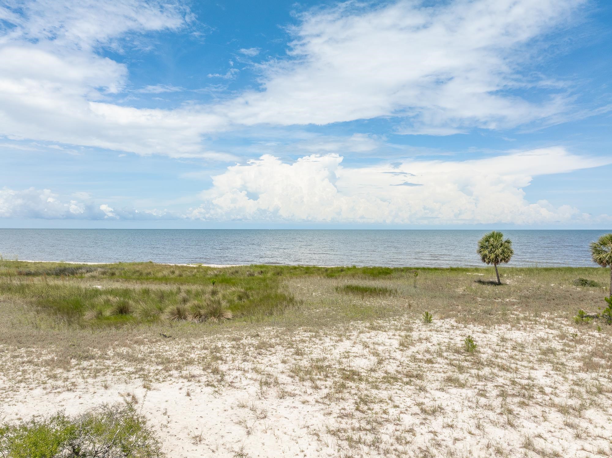 722 Bald Point Road, Alligator Point, Florida image 3