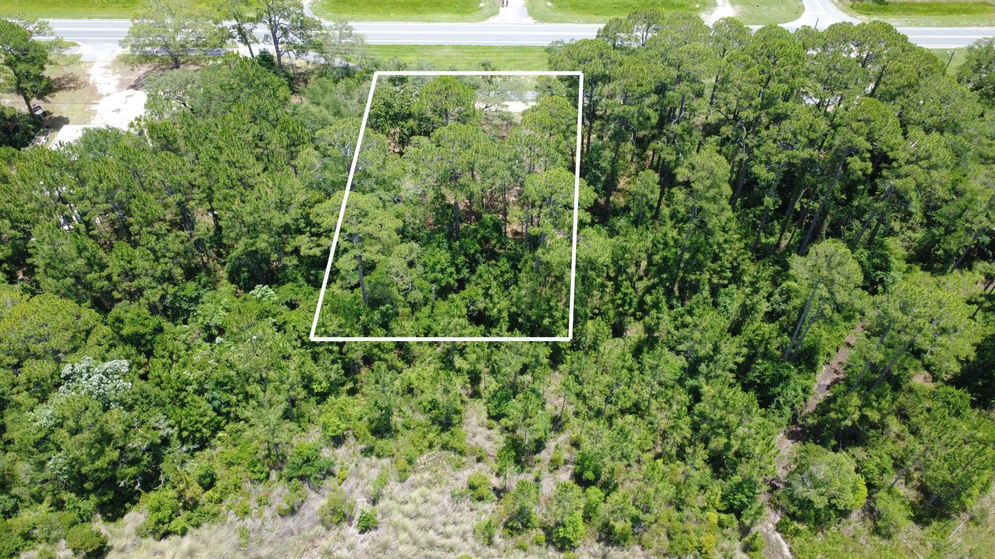 Xx Coastal Highway, Panacea, Florida image 3