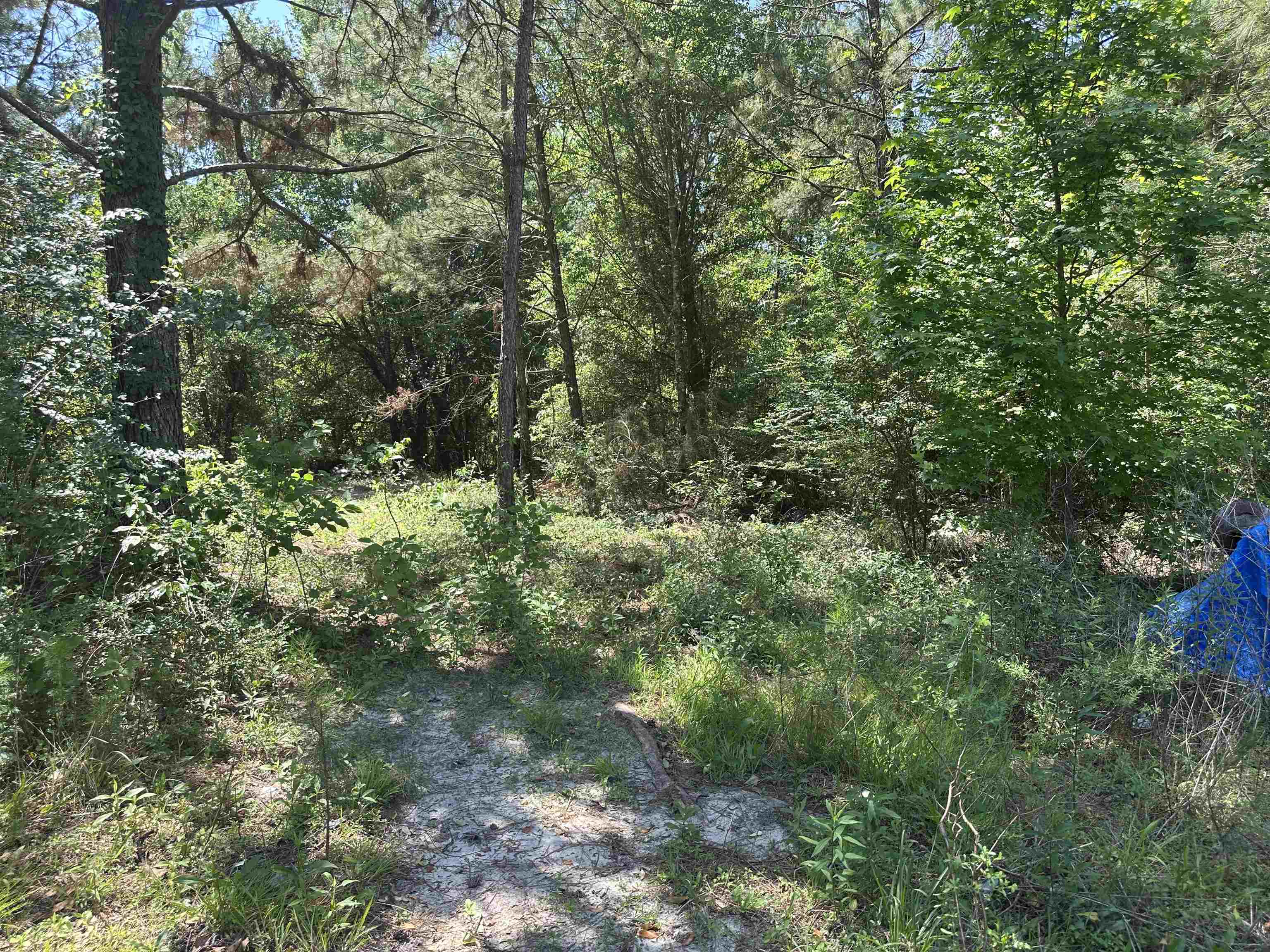 Xxx Serenity Lane #-, Quincy, Florida image 11