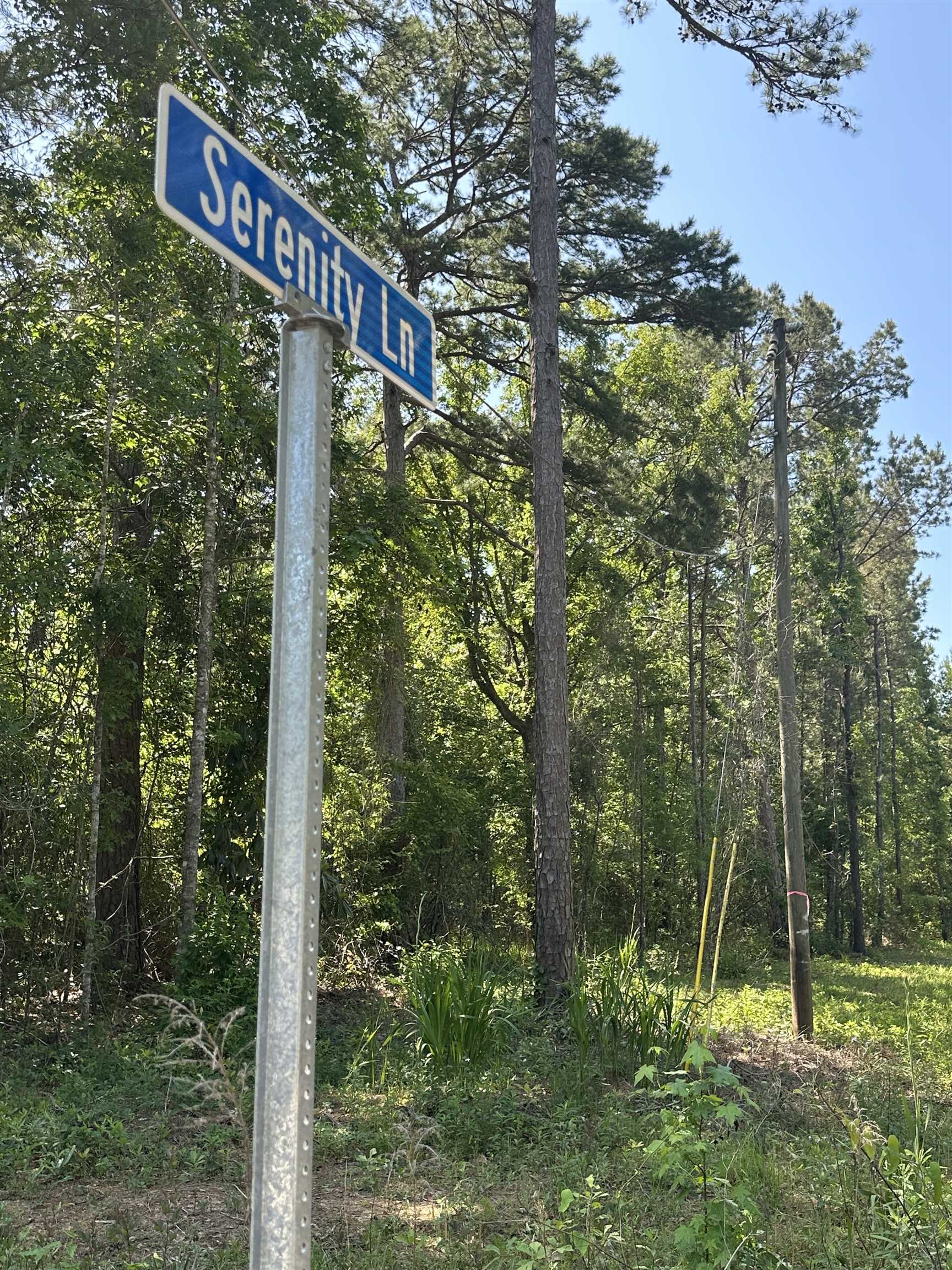 Xxx Serenity Lane #-, Quincy, Florida image 15
