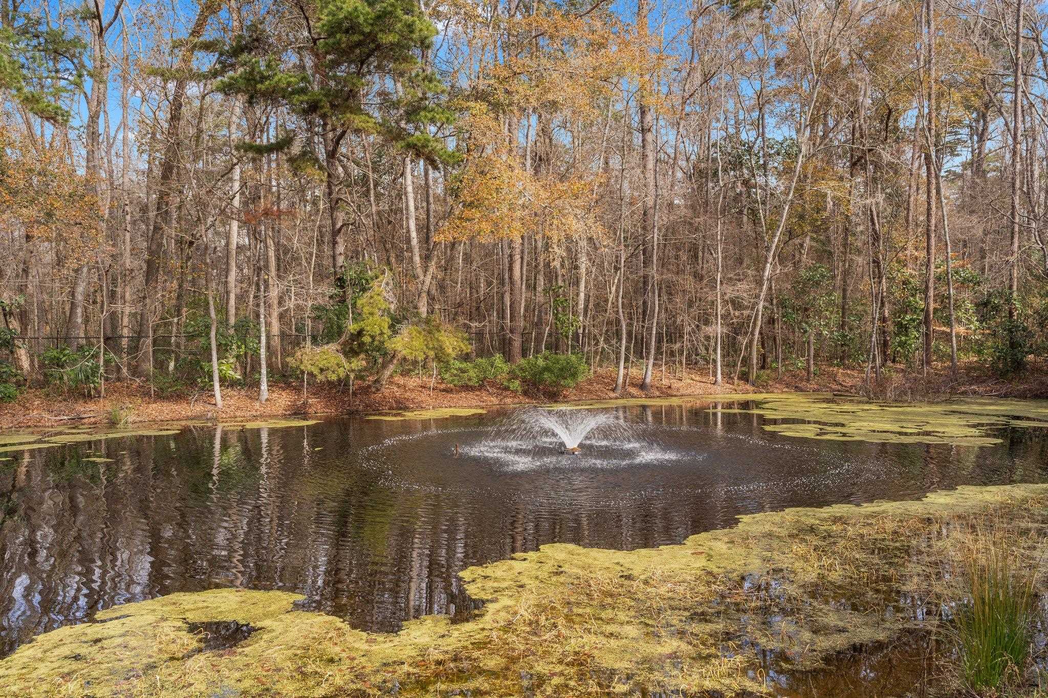134 Meadow Wood Court, Tallahassee, Florida image 4